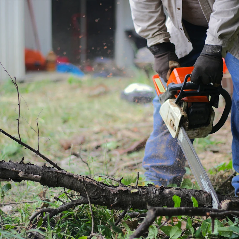 SERVE @ Yard Cleanup