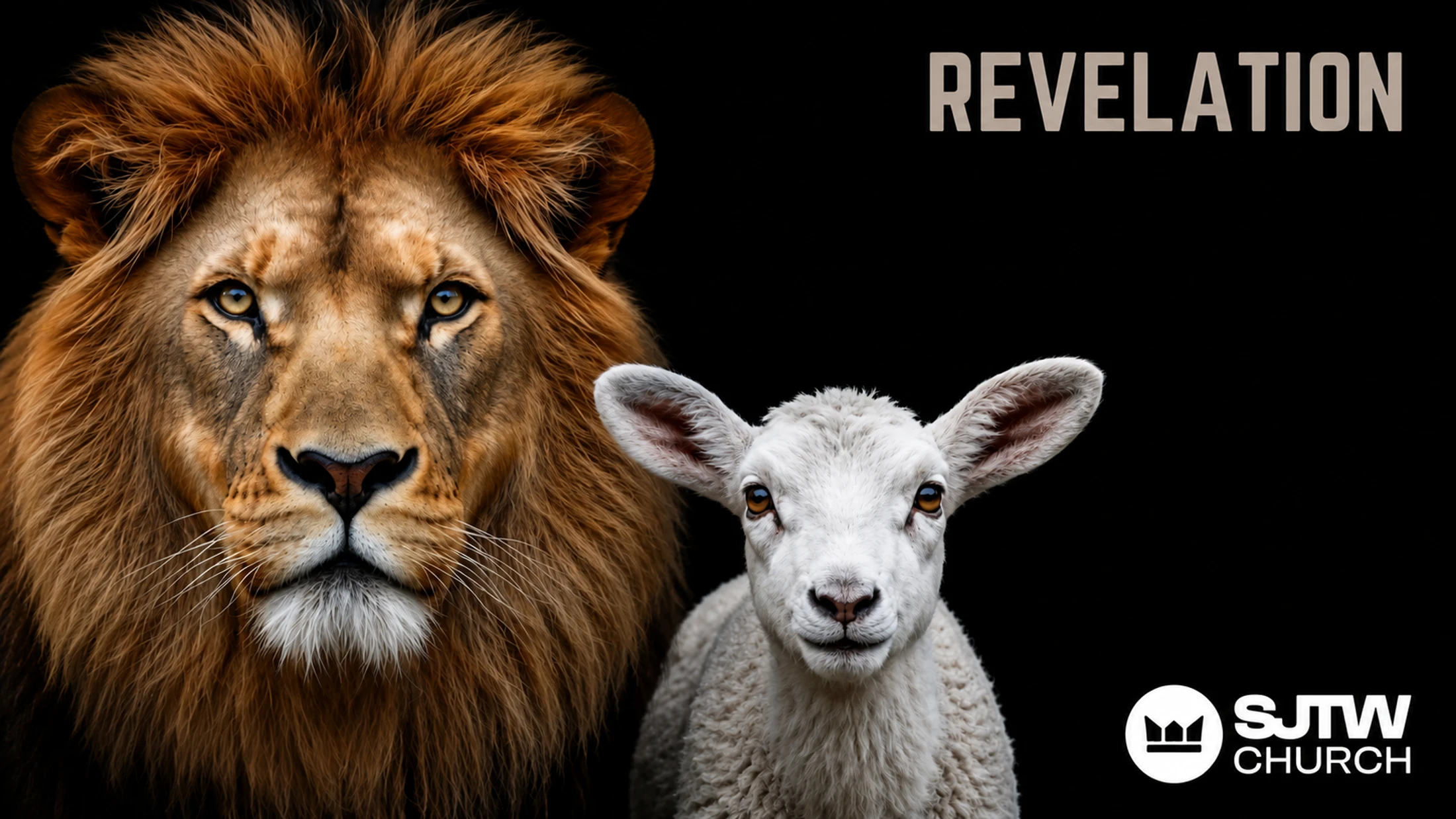 Revelation Series - 5