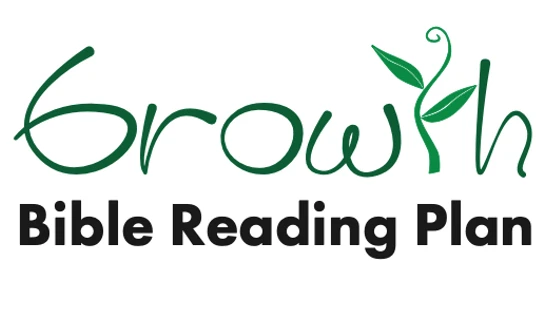 dig into God's word