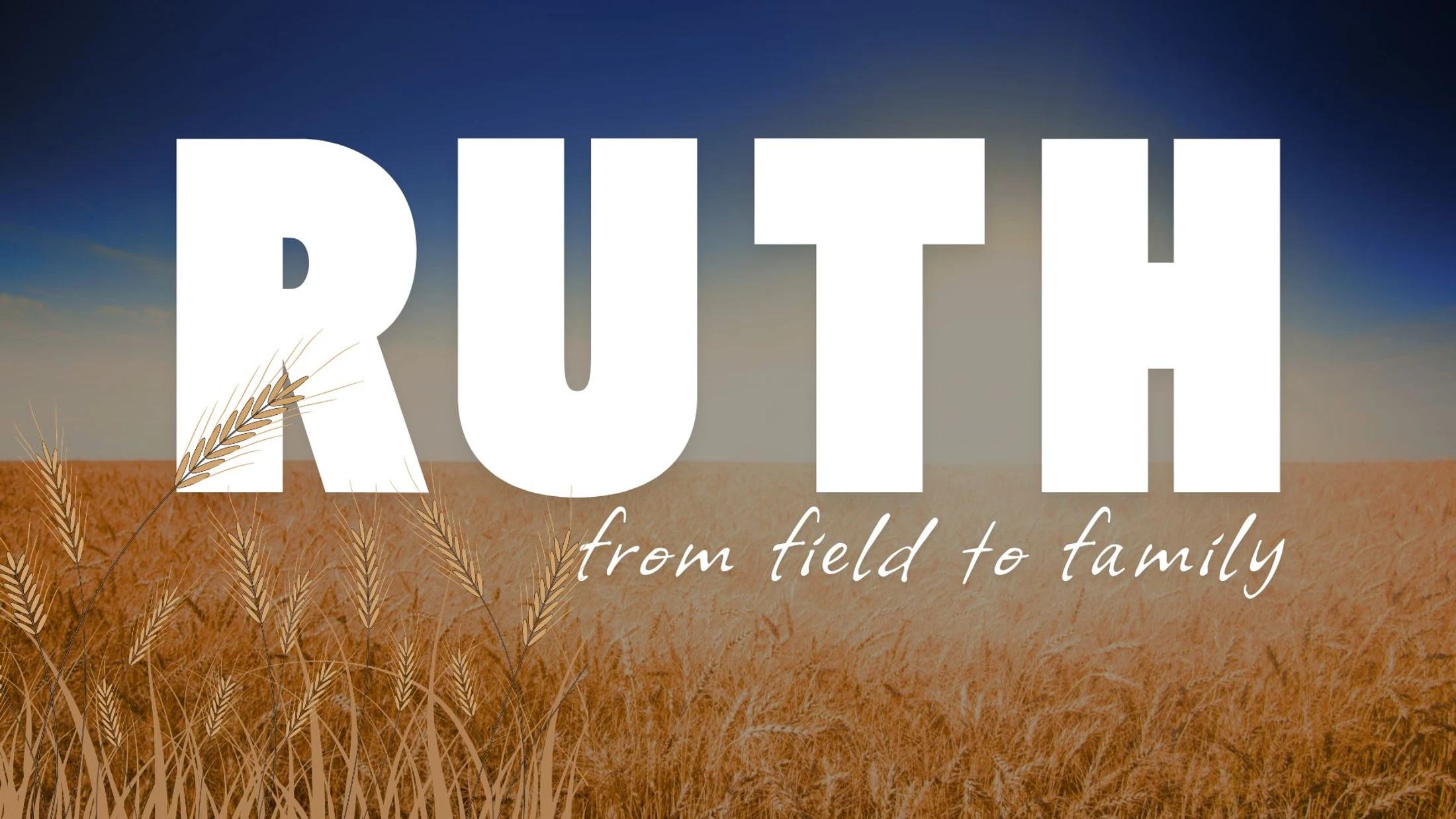 Ruth-from field to family