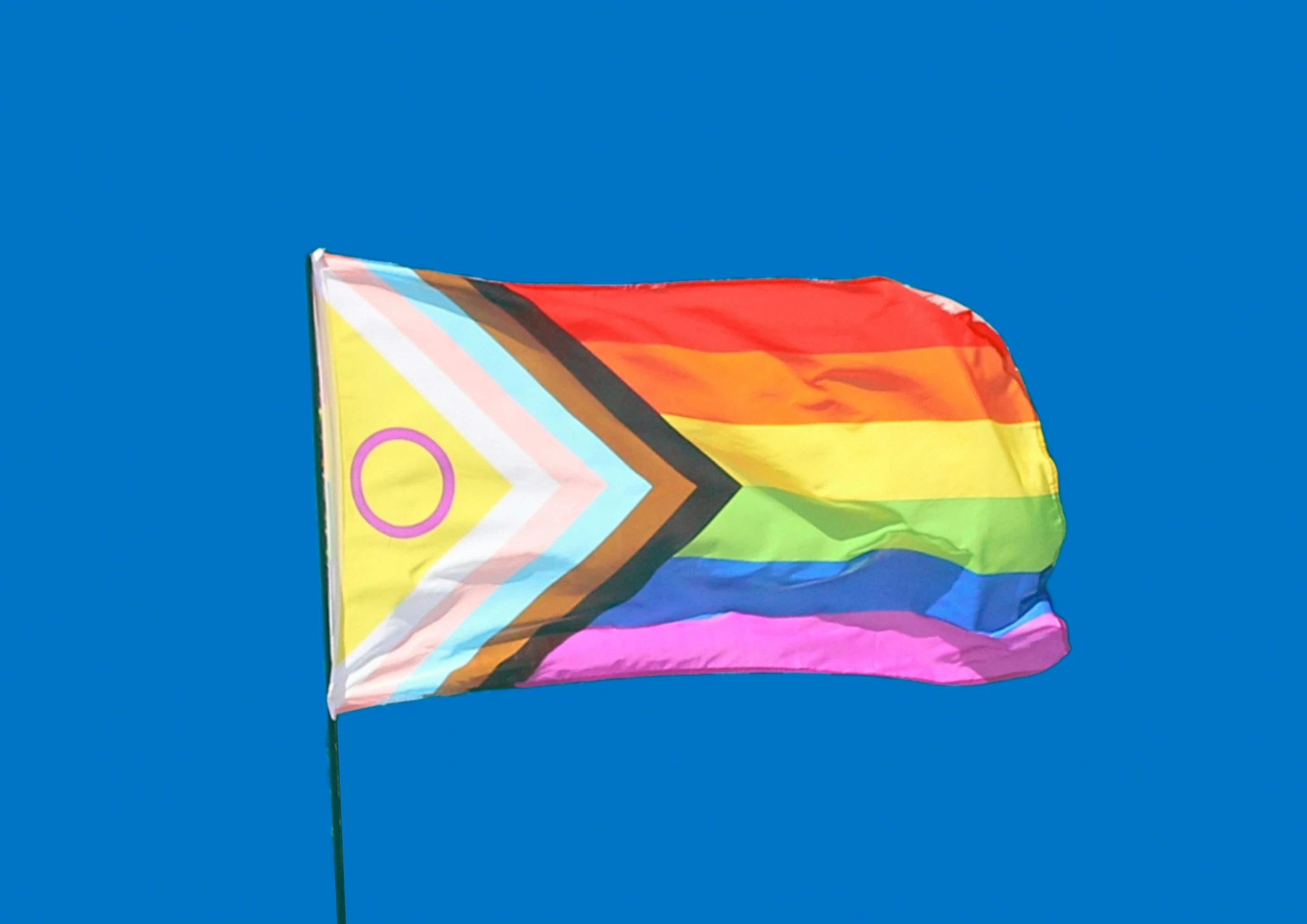Celebrate Pride Month!