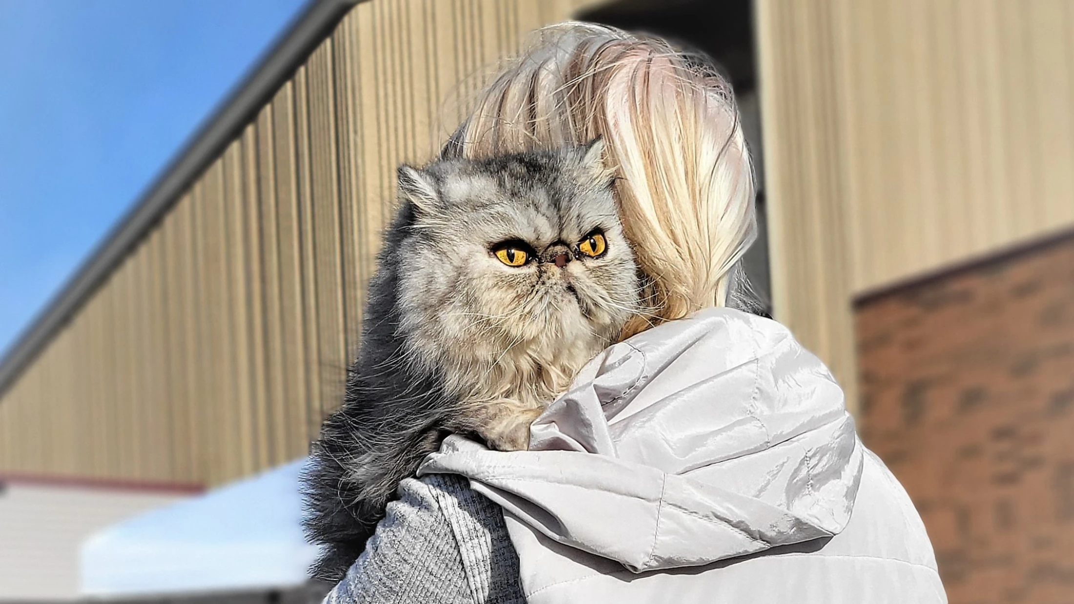 SOTV PET MINISTRY: WHERE PETS ARE FAMILY