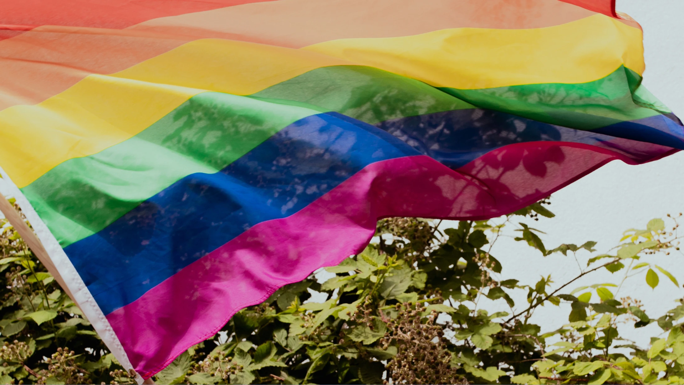 A close-up of a rainbow Pride flag waving in front of green foliage. The fabric is semi-sheer, showing the shadows of leaves against a white background.