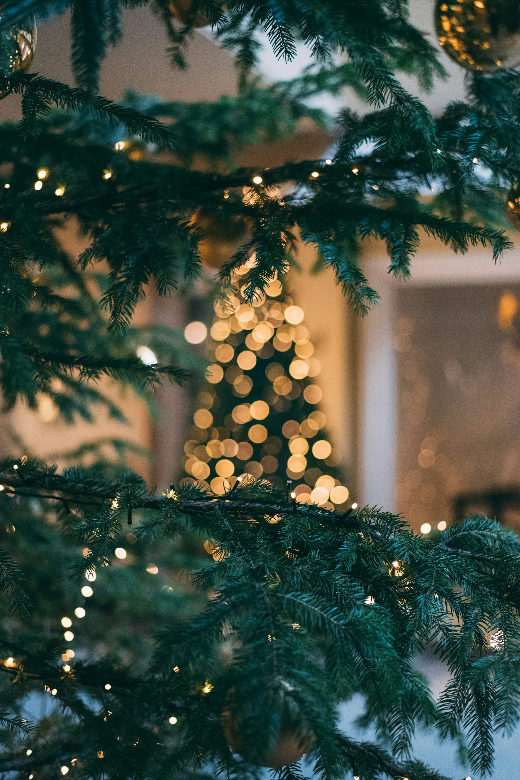 Christmas Play