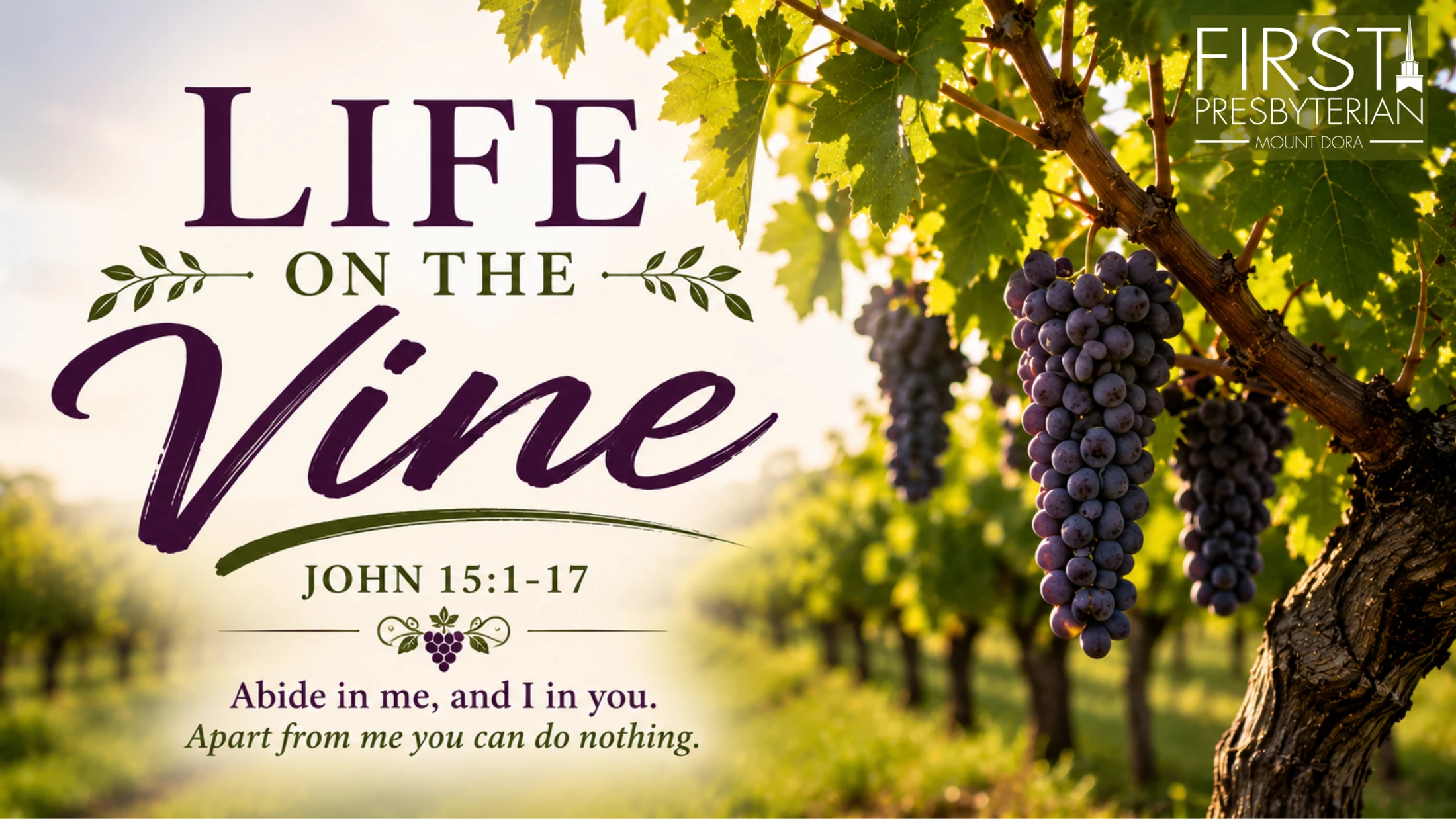 Life on the Vine - Aug 9, 2026