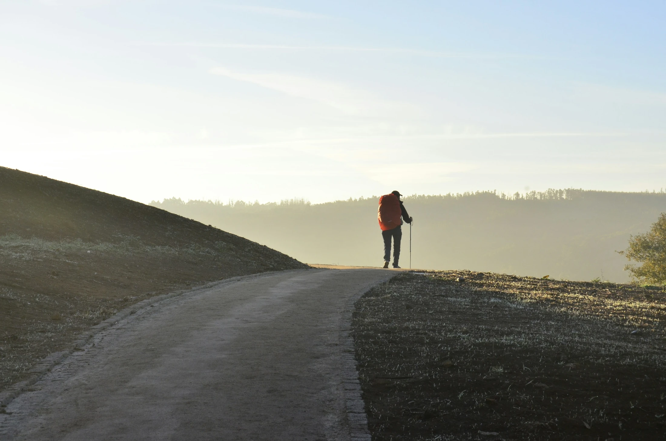 The Pilgrimage