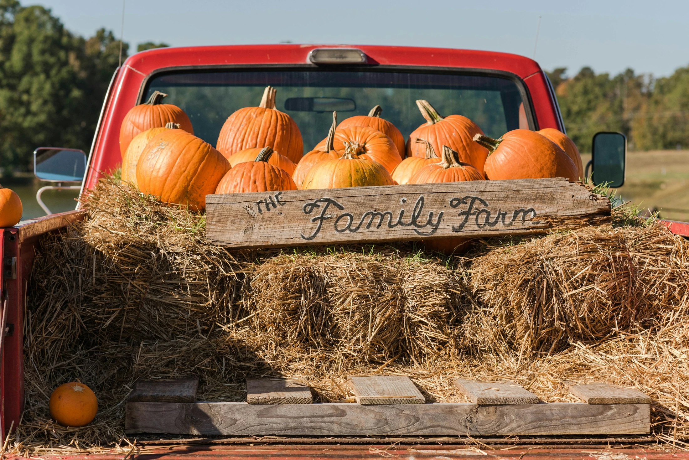 a red pick up truck filled with pumpkins
