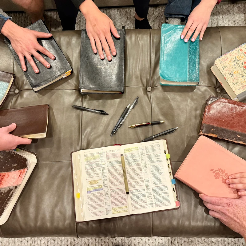 <div style="font-family:Georgia; font-size:25px;font-weight:bold">Young Adults</div>