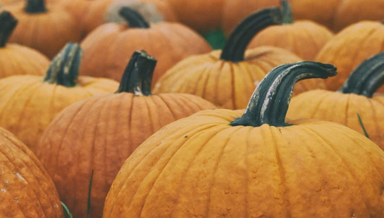 Harvest Festival