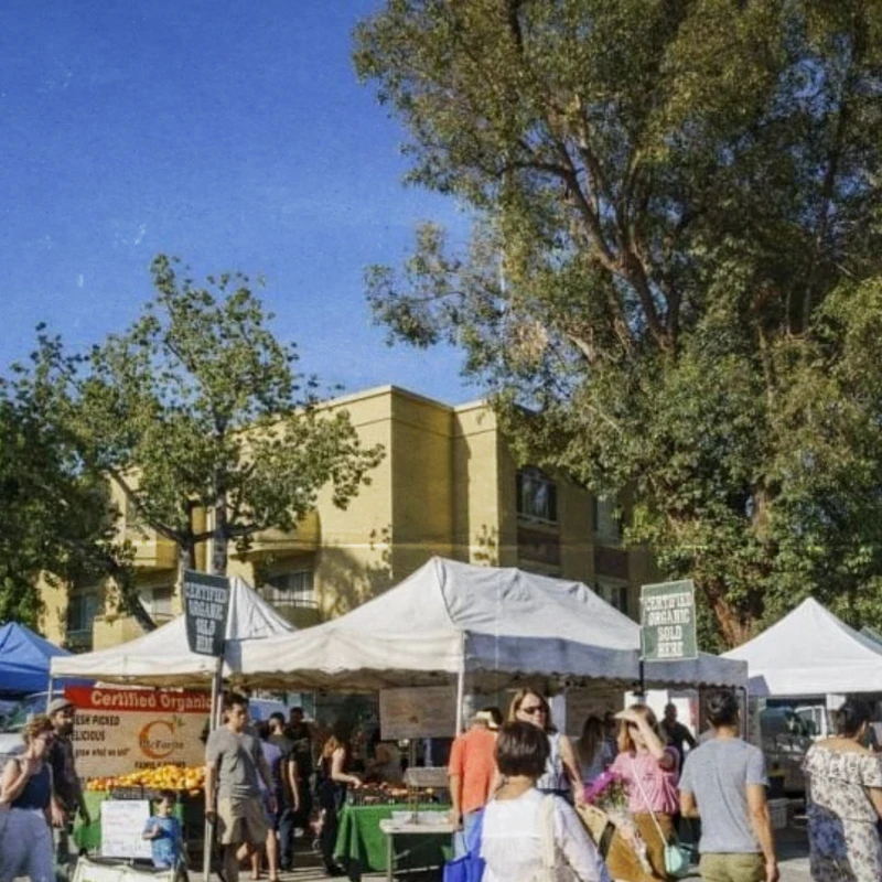 A lively outdoor farmers market with crowds of people browsing stalls under tents. Large trees and a building are in the background under a sunny sky.