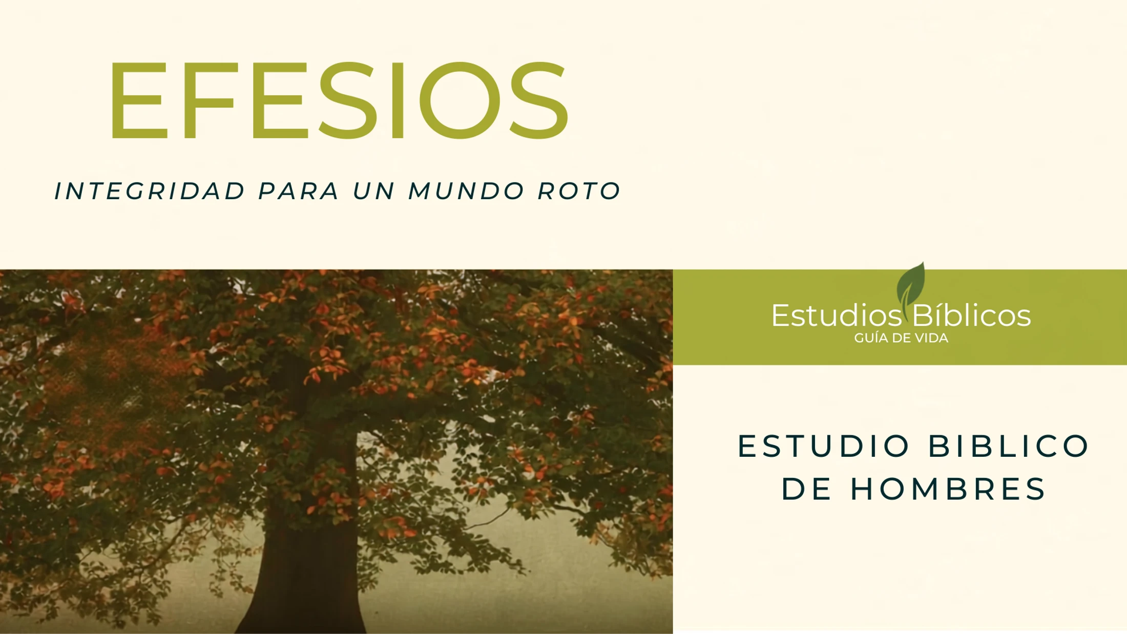 Efesios