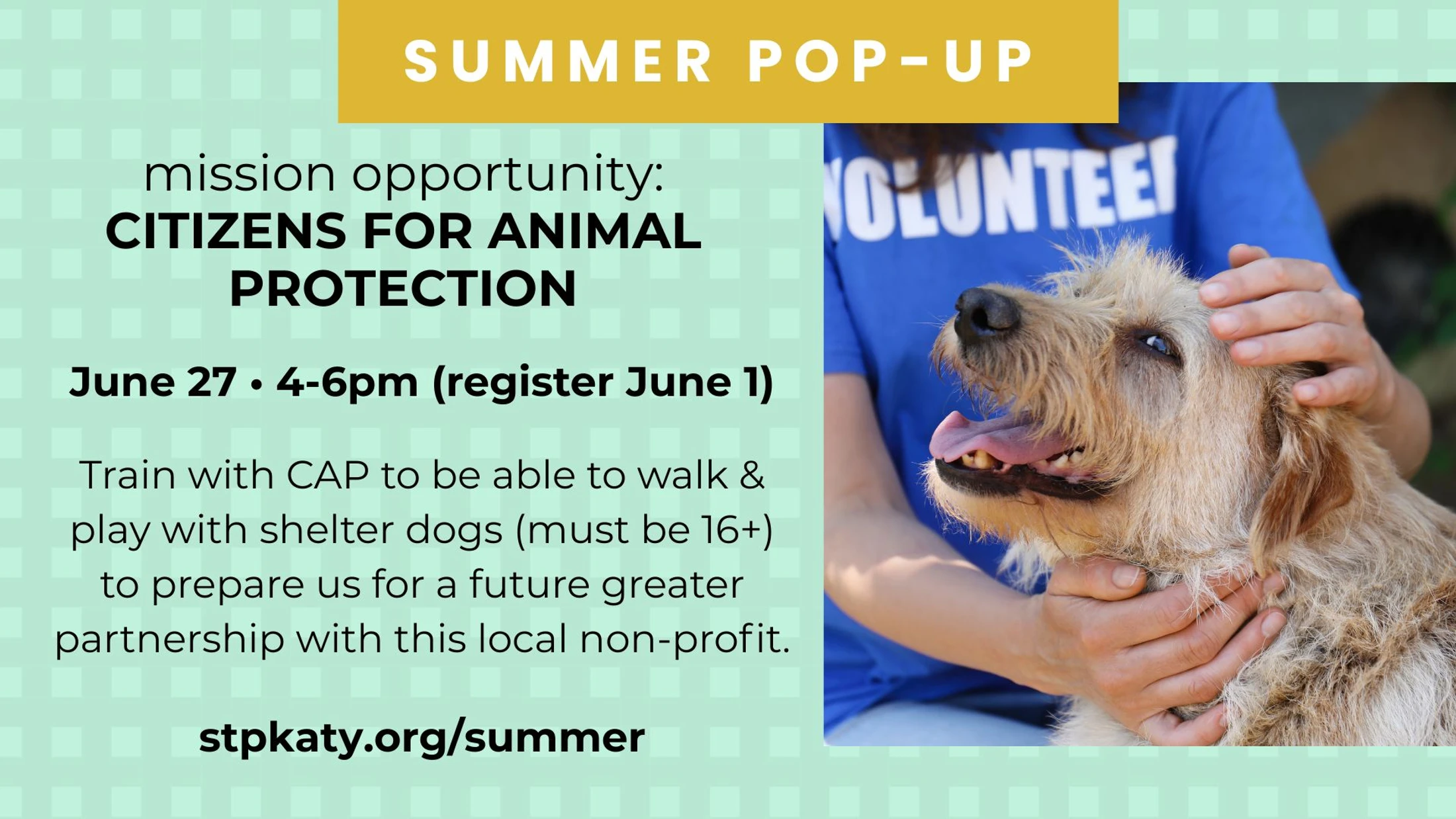 Creature Care Training with Citizens For Animal Protection (CAP)