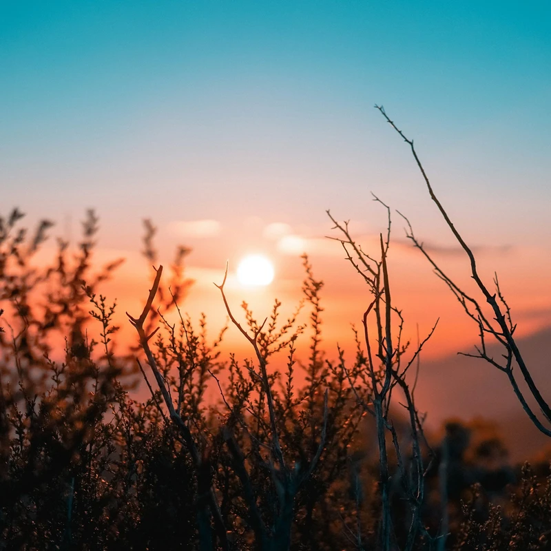 A support group to help you move through the grief process