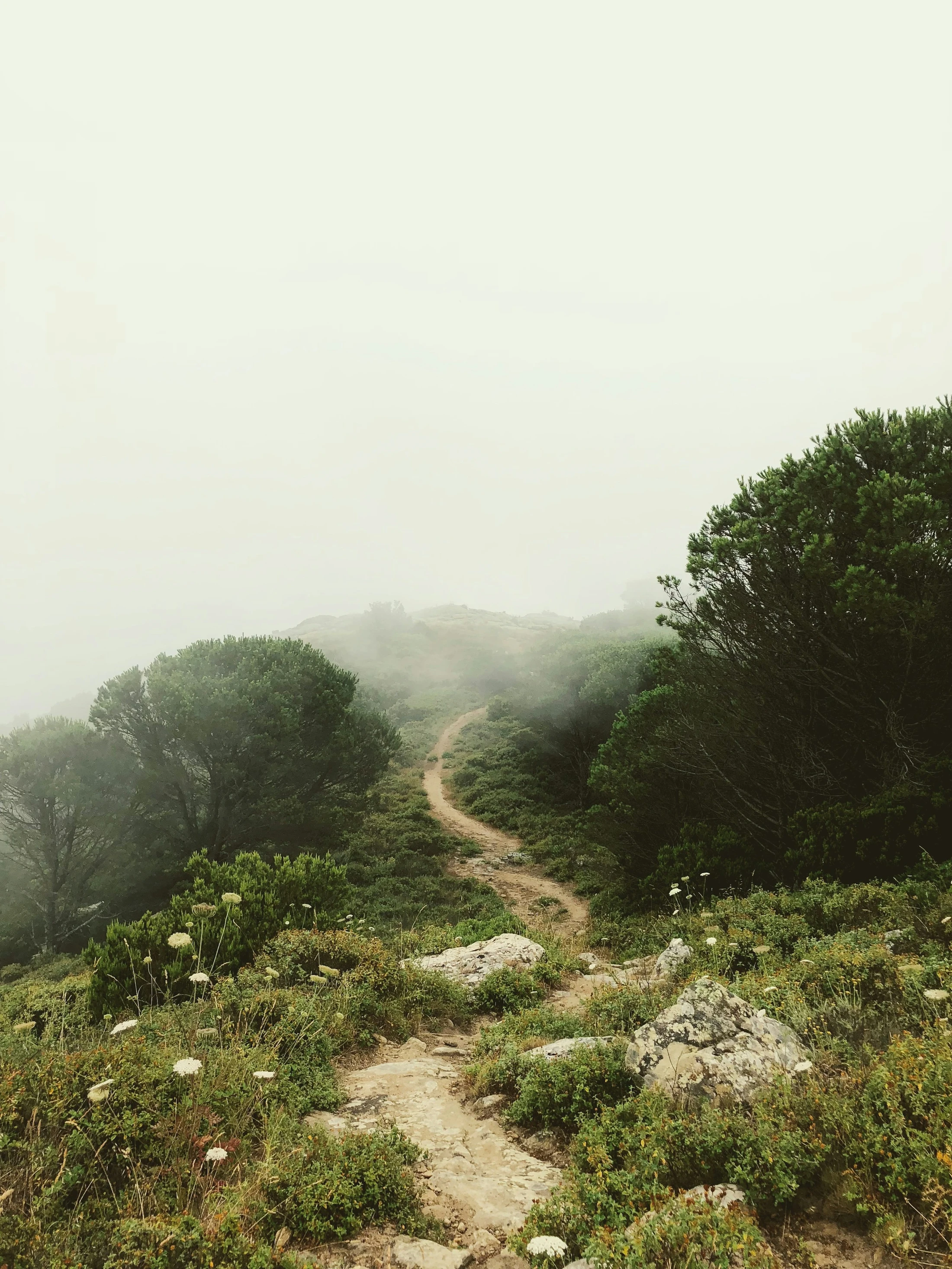 How Do I Hear God's Voice? Stop Guessing & Start Knowing
