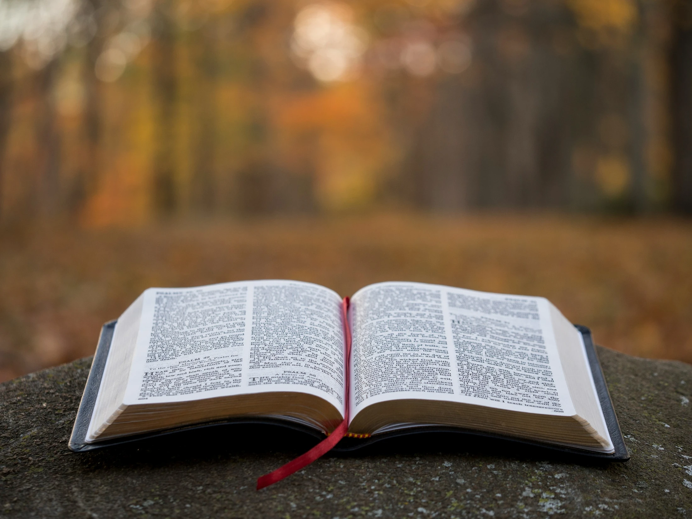 Introduction to the Gospel of Luke