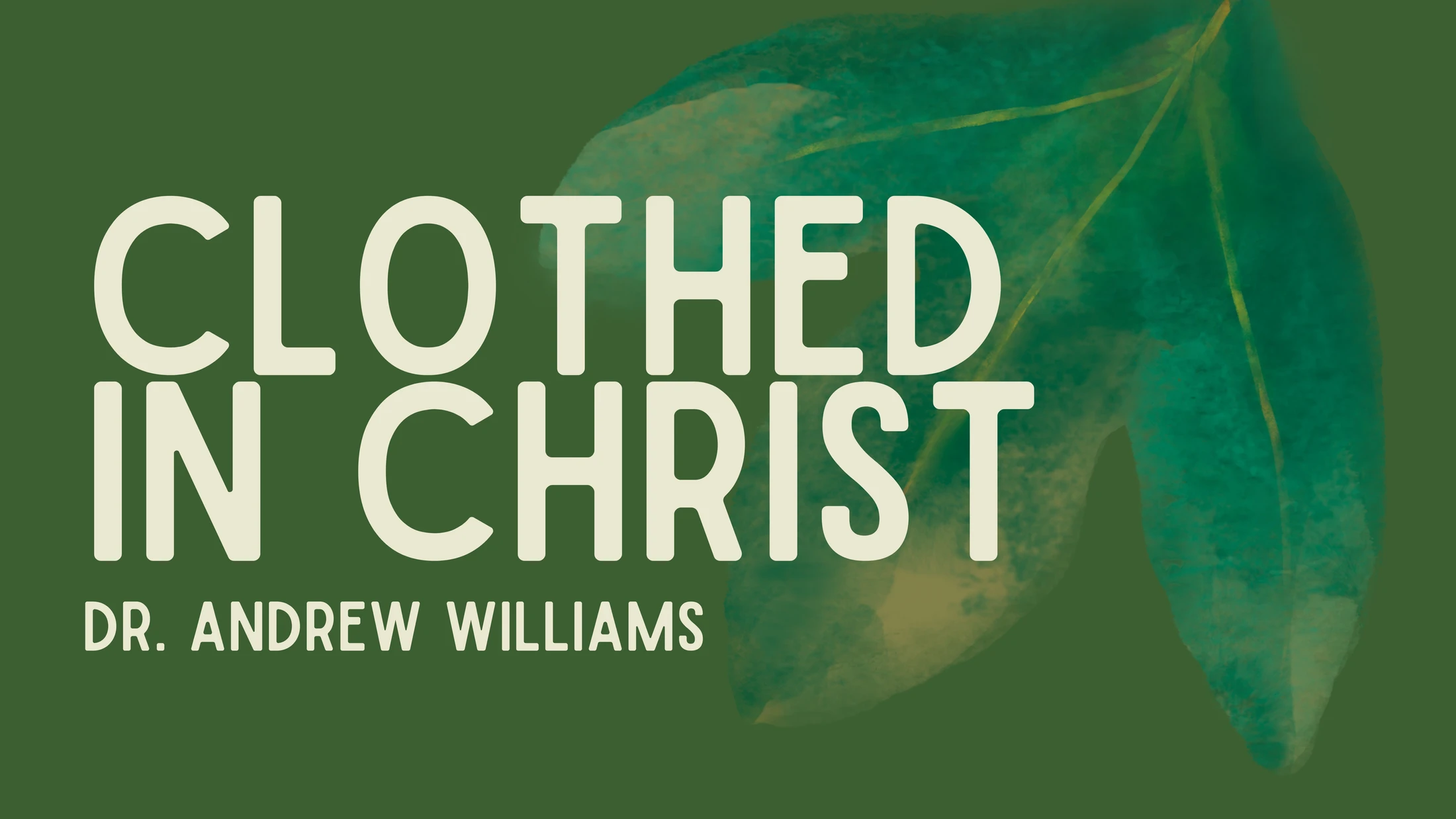 Clothed in Christ II (26 April 2026)