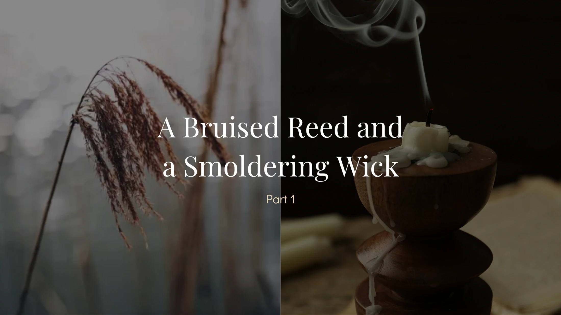 A Bruised Reed and a Smoldering Wick – Part 1