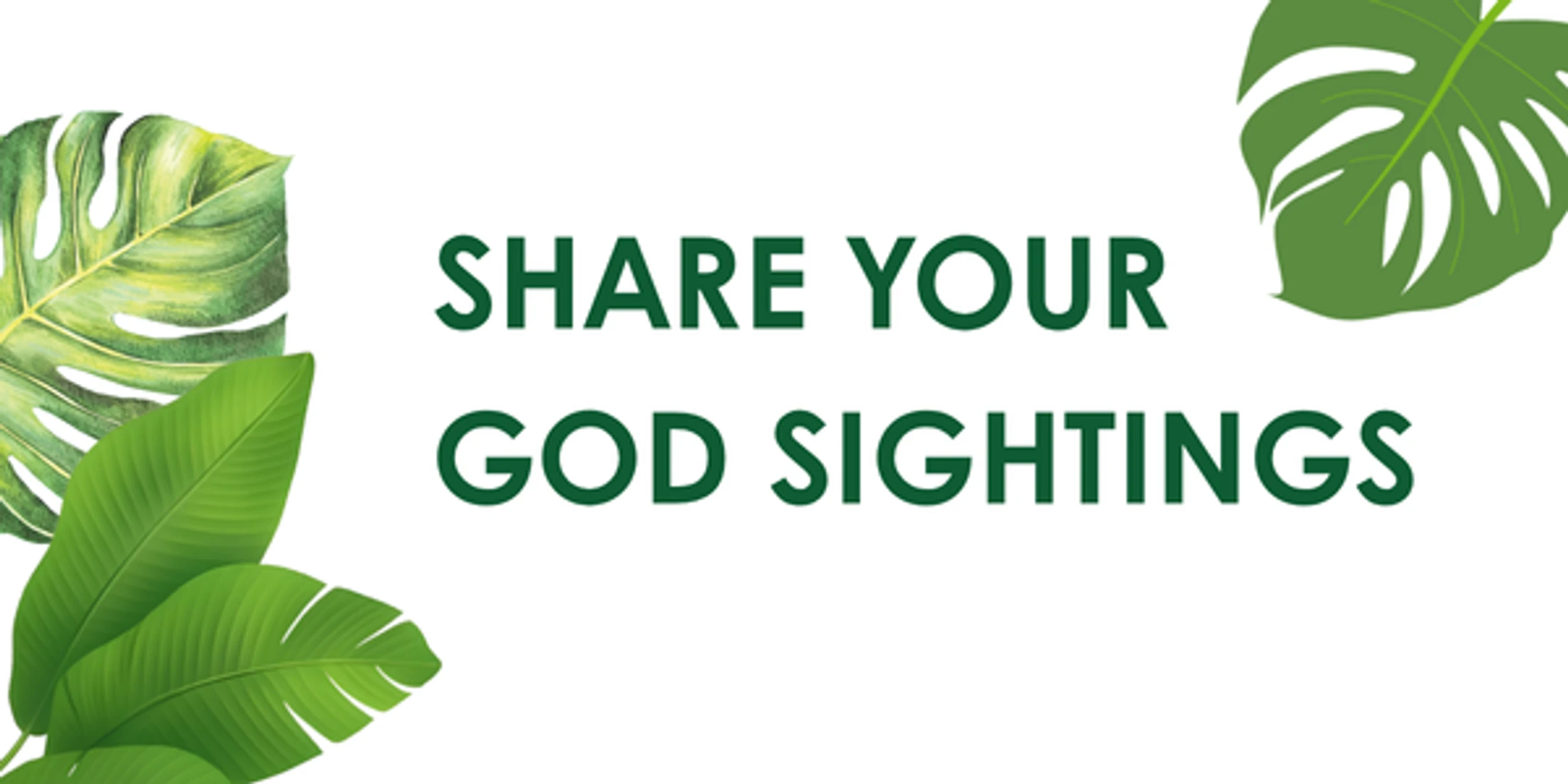 Share Your God Sightings