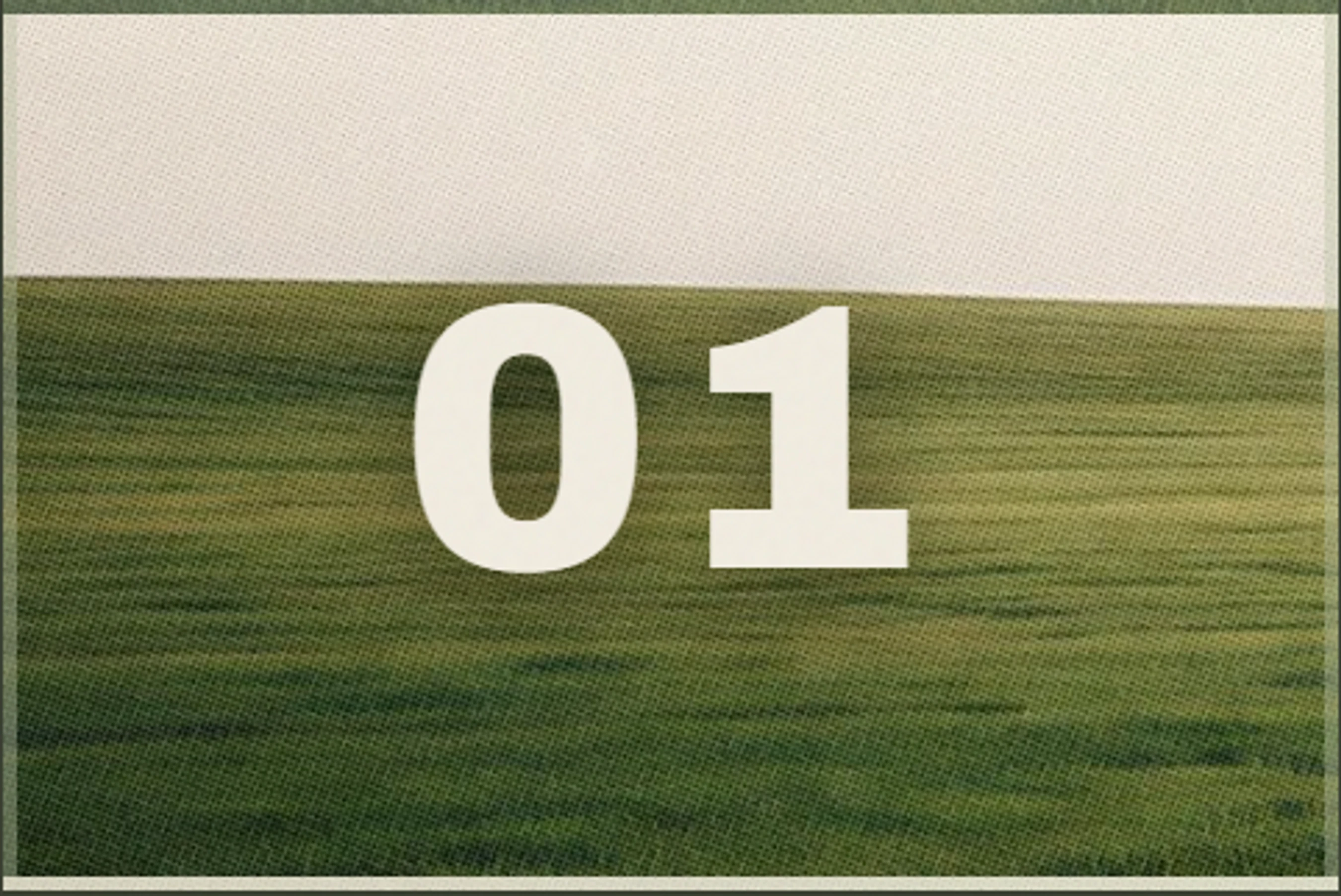 The number 01 in a bold, off-white font is centered over a grainy photograph of a green field under a pale sky, framed by a dark border.