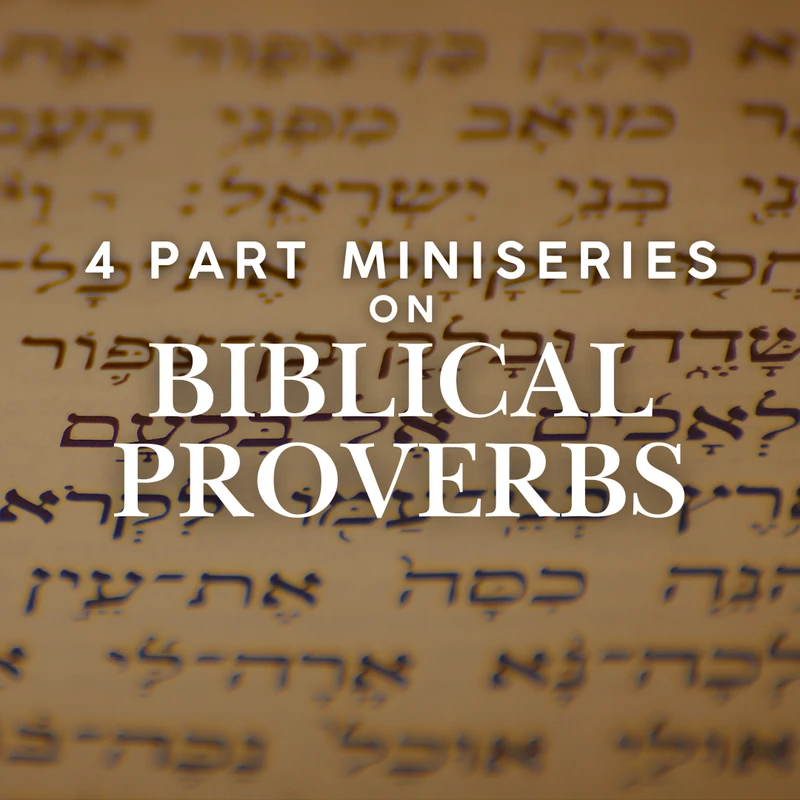 <font color="#ff6600">Proverbs on Money</font>