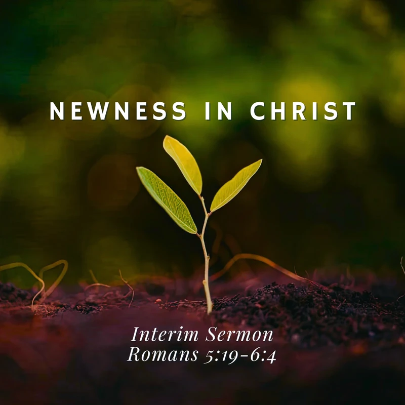 <font color="#ff6600">Newness in Christ&nbsp;</font>