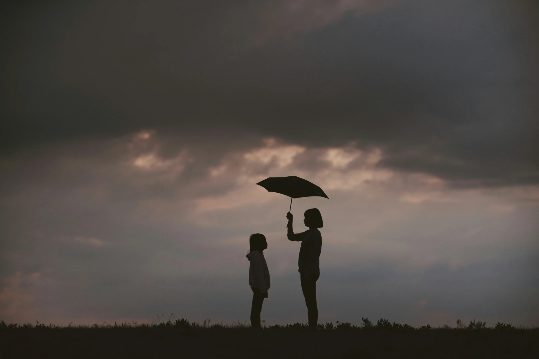 Pondering Kindness