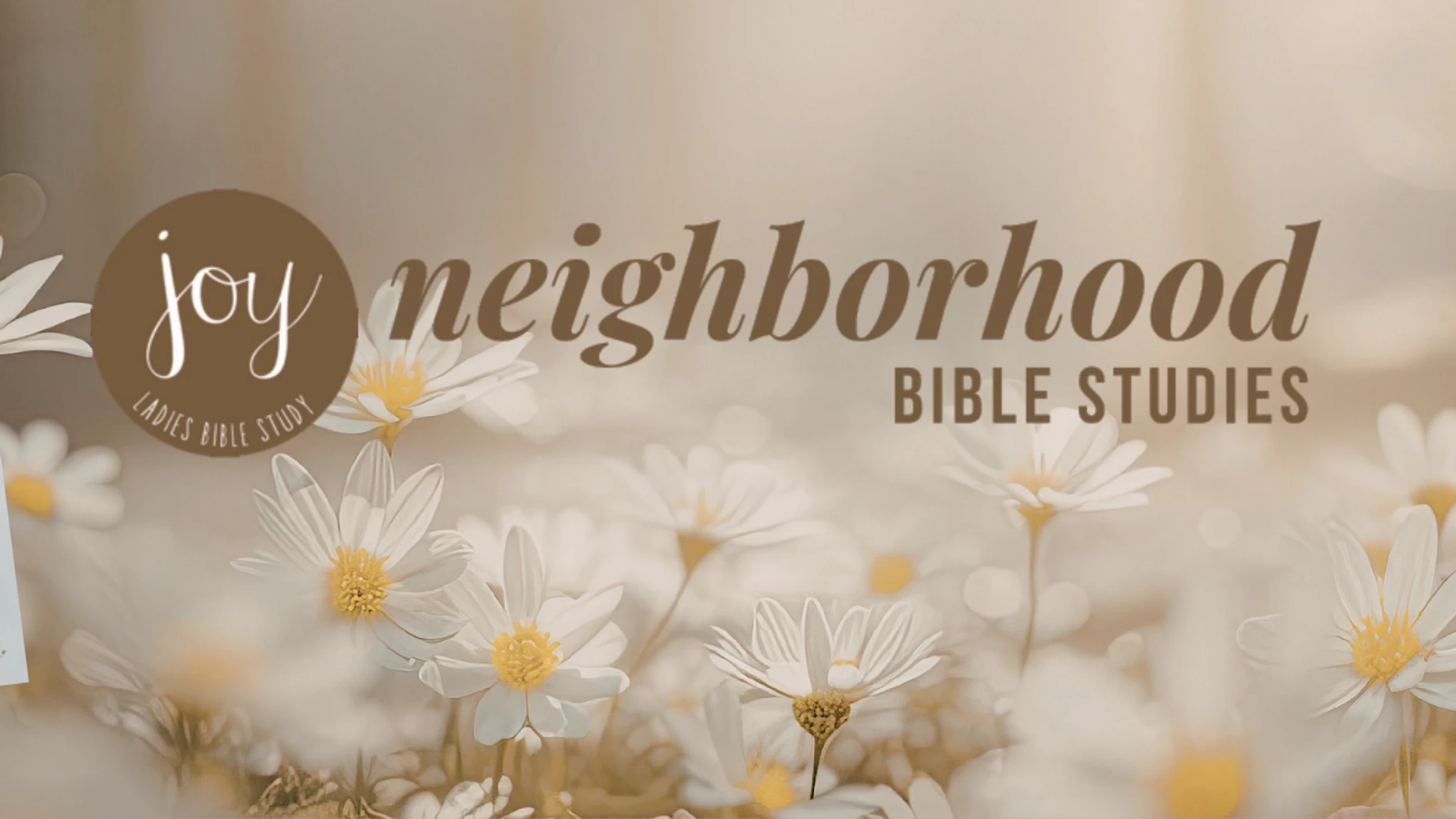 Joy in the Neighborhood Bible Studies