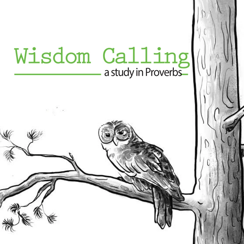 Proverbs 14:13 | Proverbs on Emotion