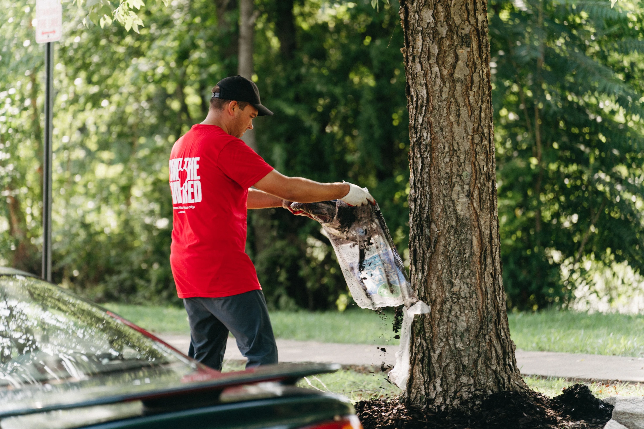 A man wearing a red t-shirt, black cap, and white gloves pours a bag of dark mulch around the base of a large tree on a sunny day.