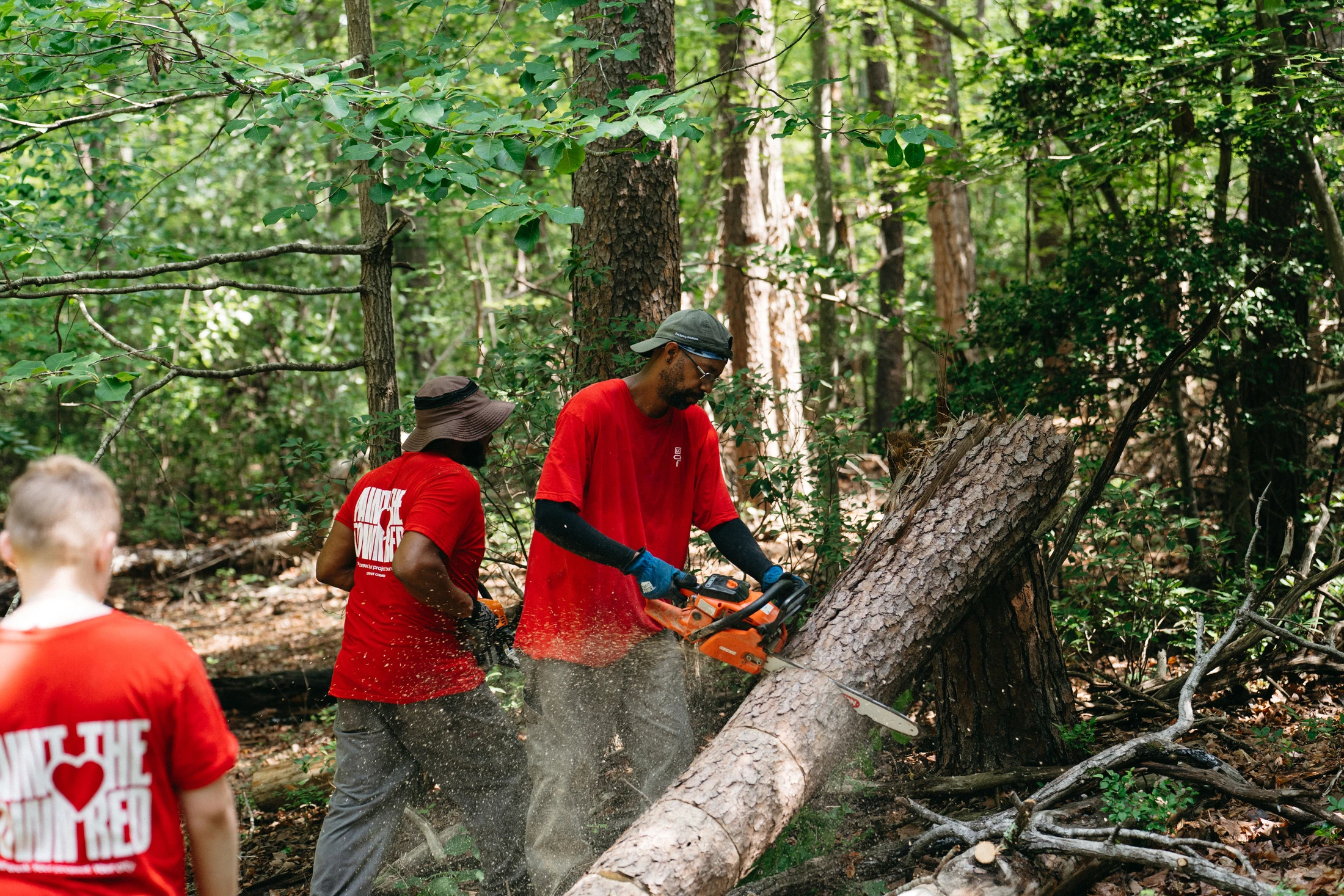 Three volunteers in red shirts clear a fallen tree in a forest. One man cuts a large log with a chainsaw, creating a cloud of sawdust.