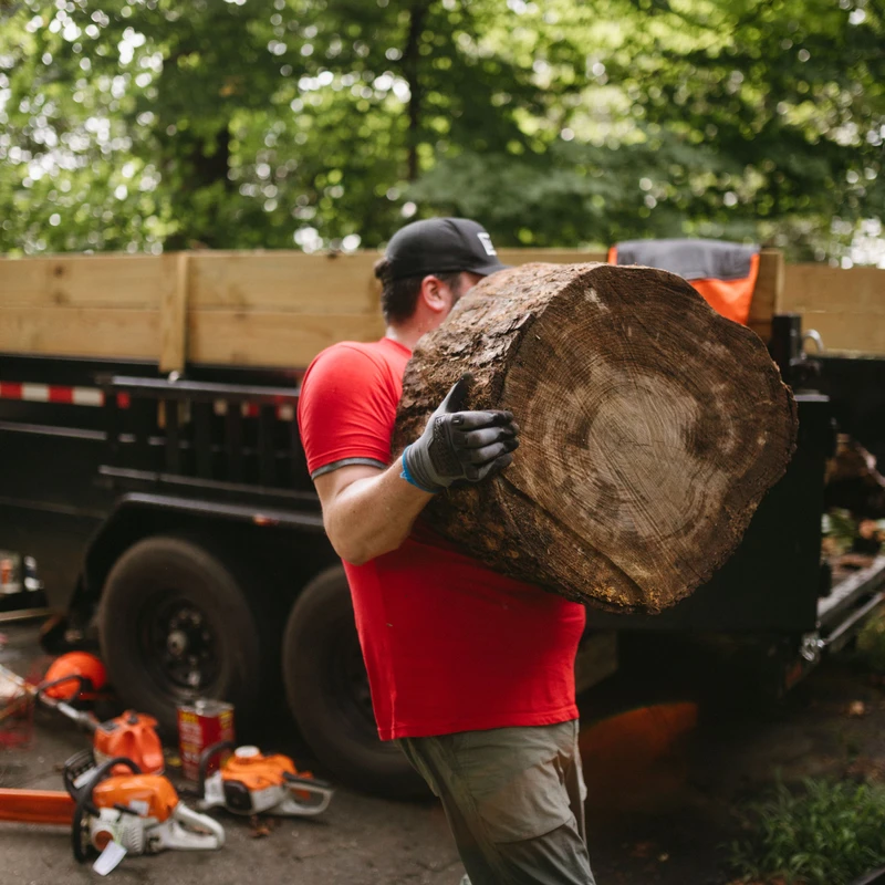 A man in a red shirt and work gloves carries a large, circular piece of a tree trunk. In the background is a trailer and chainsaws on the ground.