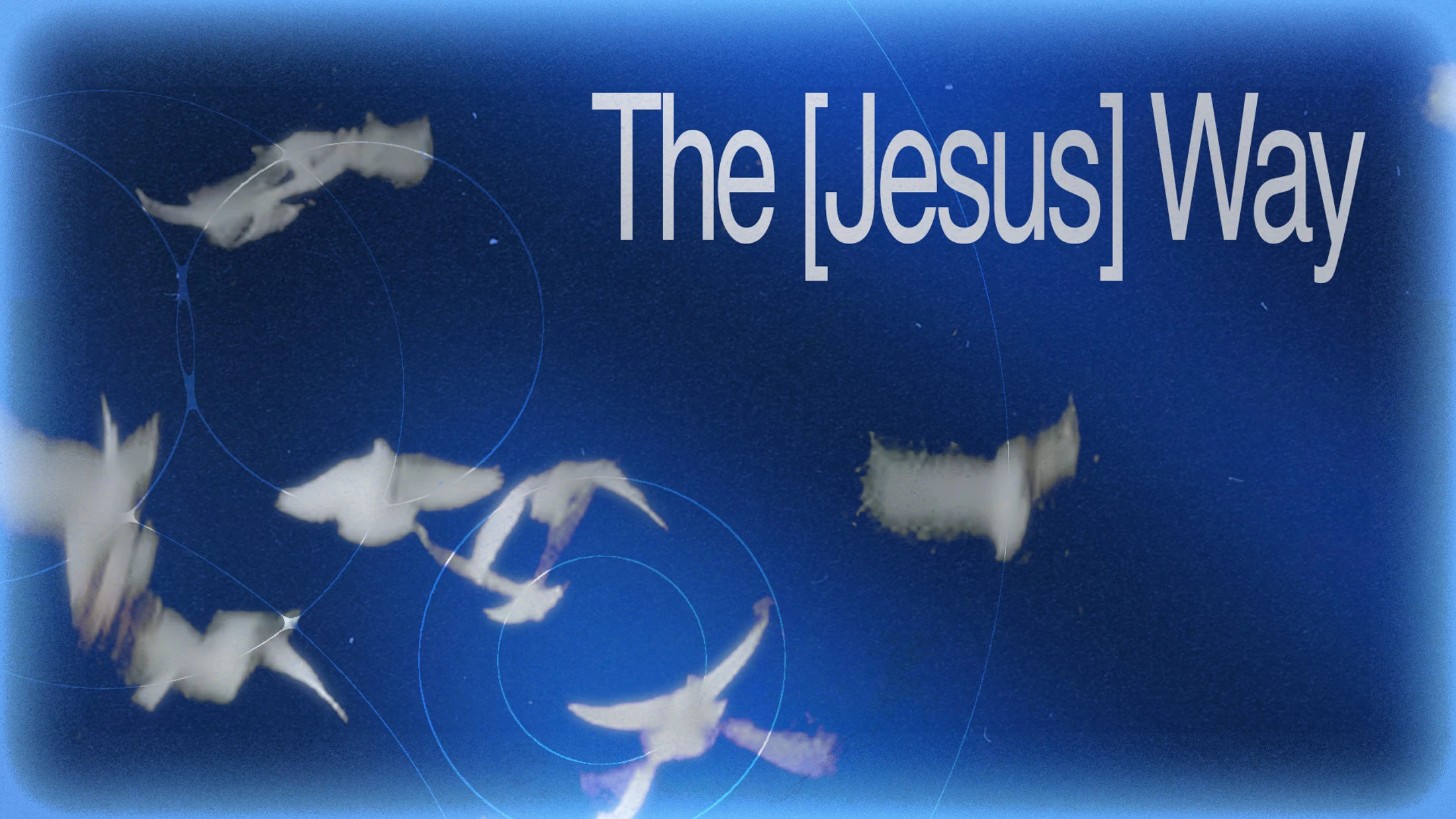 The text 'The [Jesus] Way' in white against a grainy dark blue background, with several blurry white doves flying across the image.