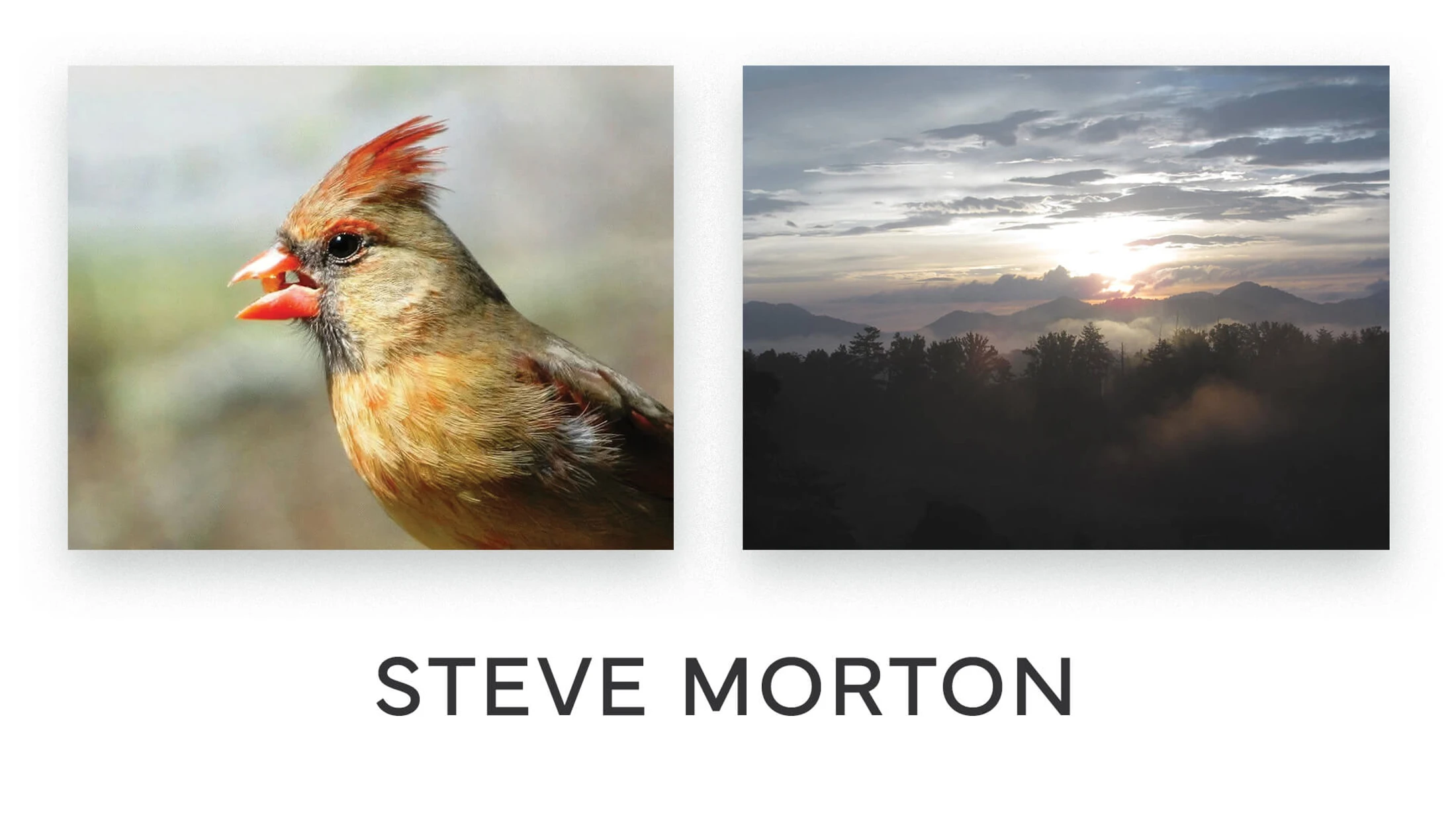 Art Exhibit: Steve Morton