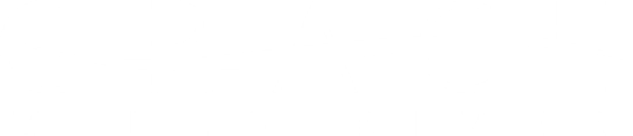 Main Logo