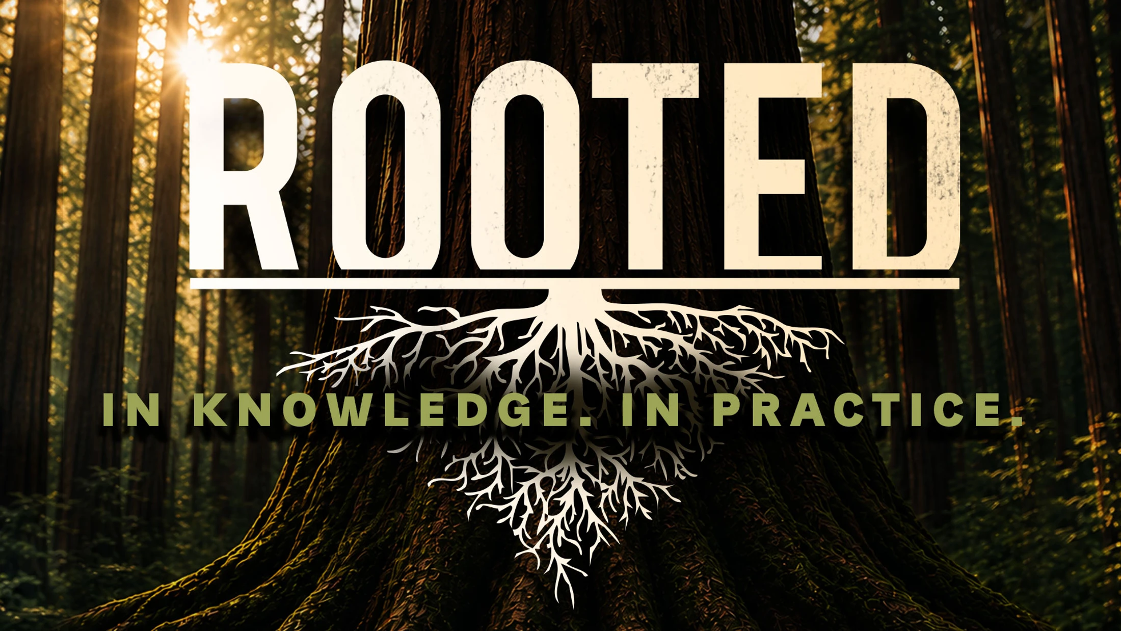 The word 'Rooted' is overlaid on a large tree in a sunlit forest, with a graphic of roots and the text 'In Knowledge. In Practice.' below.