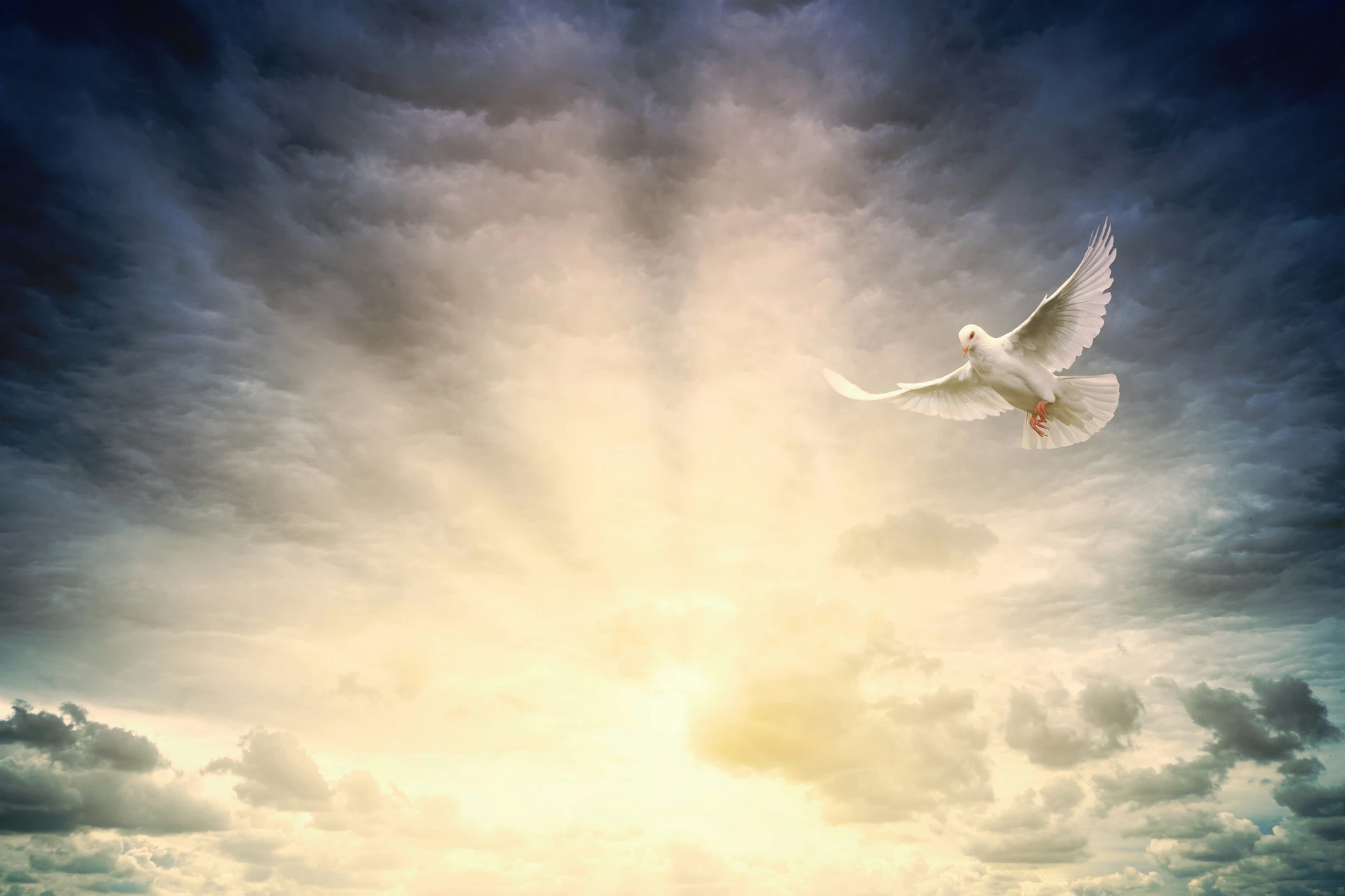 Why Do I Keep Struggling With the Same Sin? What Romans 8 Says About Lasting Freedom