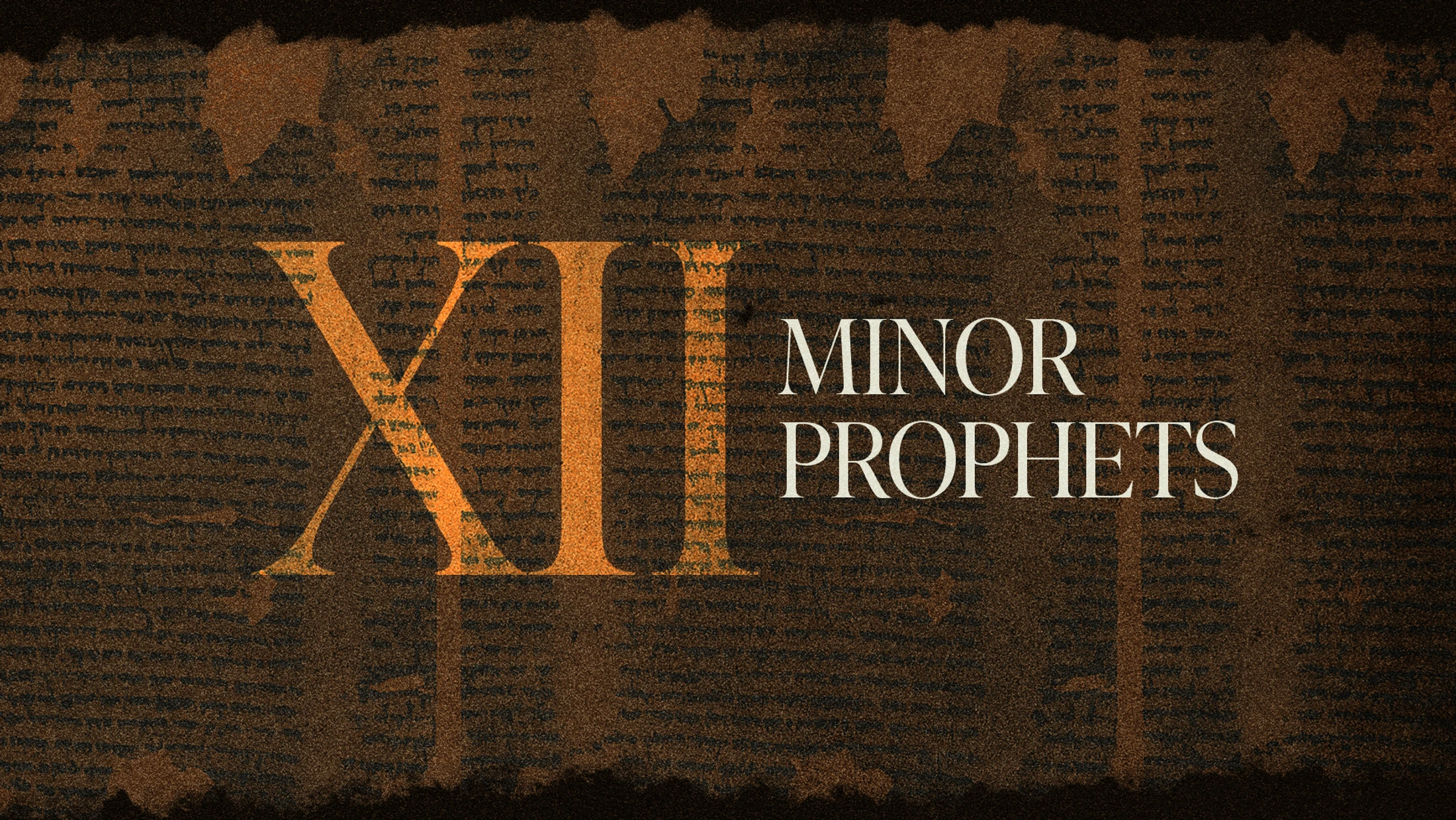 XII Minor Prophets: Jonah