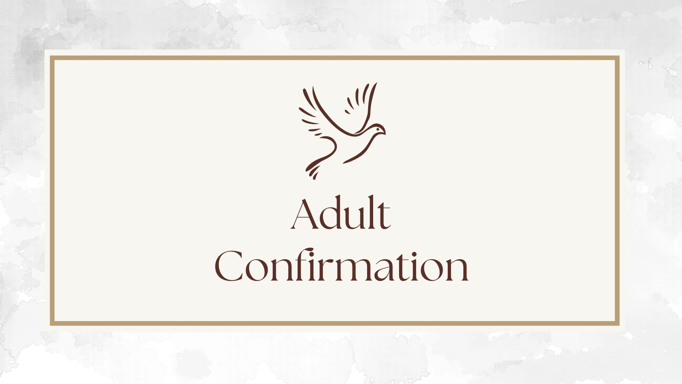Adult Confirmation Sermon 04.29.26