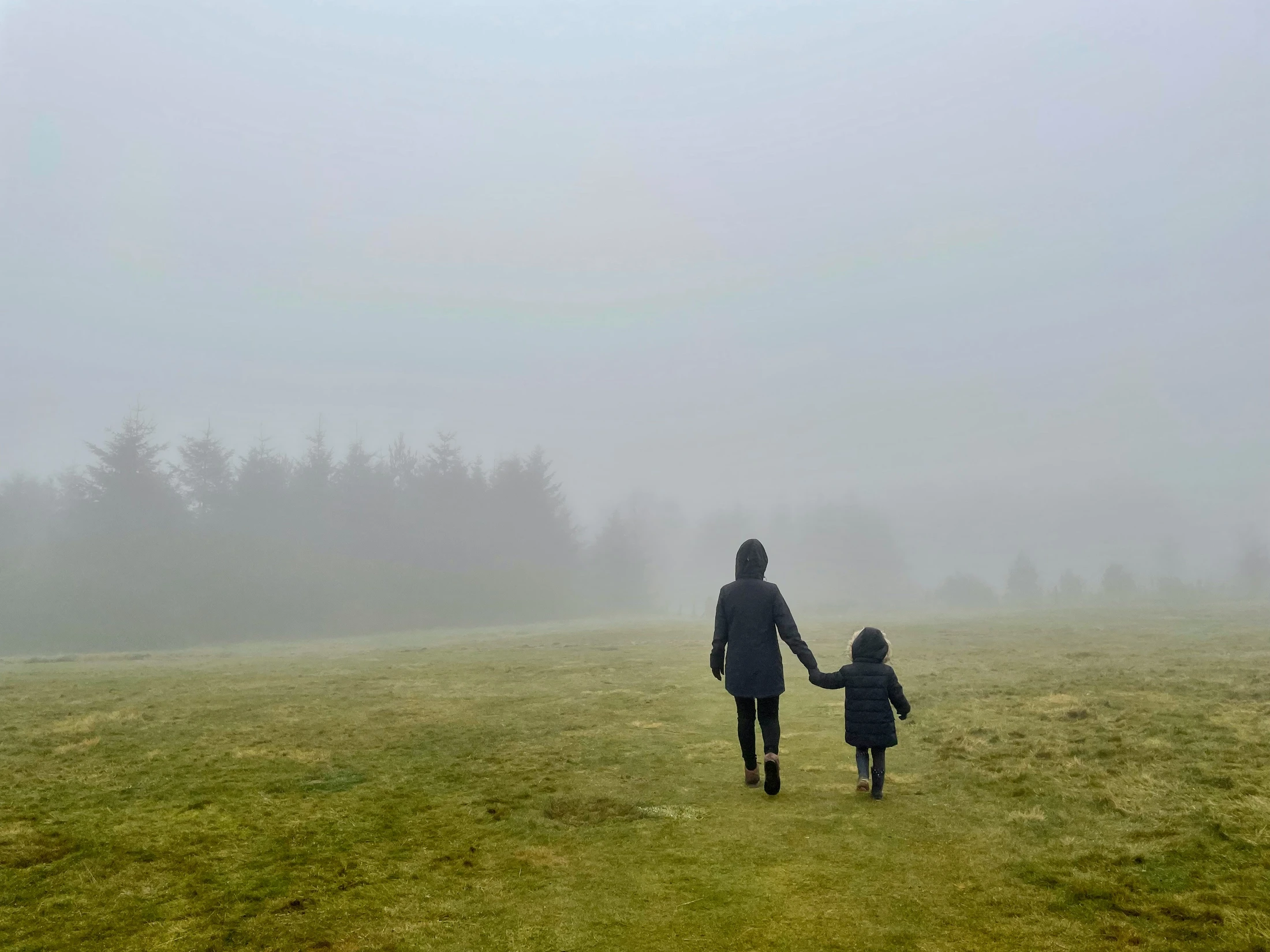 A person and a small child, seen from behind, hold hands as they walk across a green field toward a line of trees obscured by thick white fog.