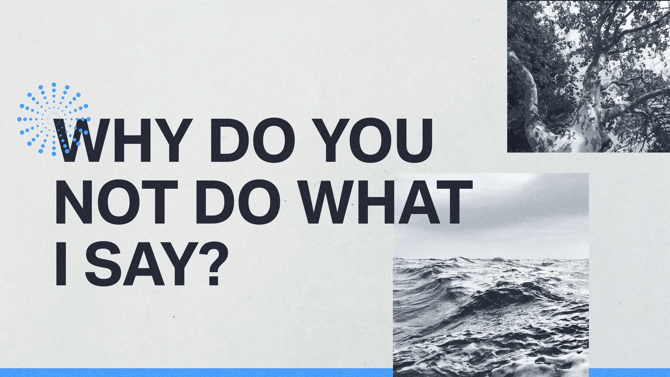 Why Don't You Do What I Say?