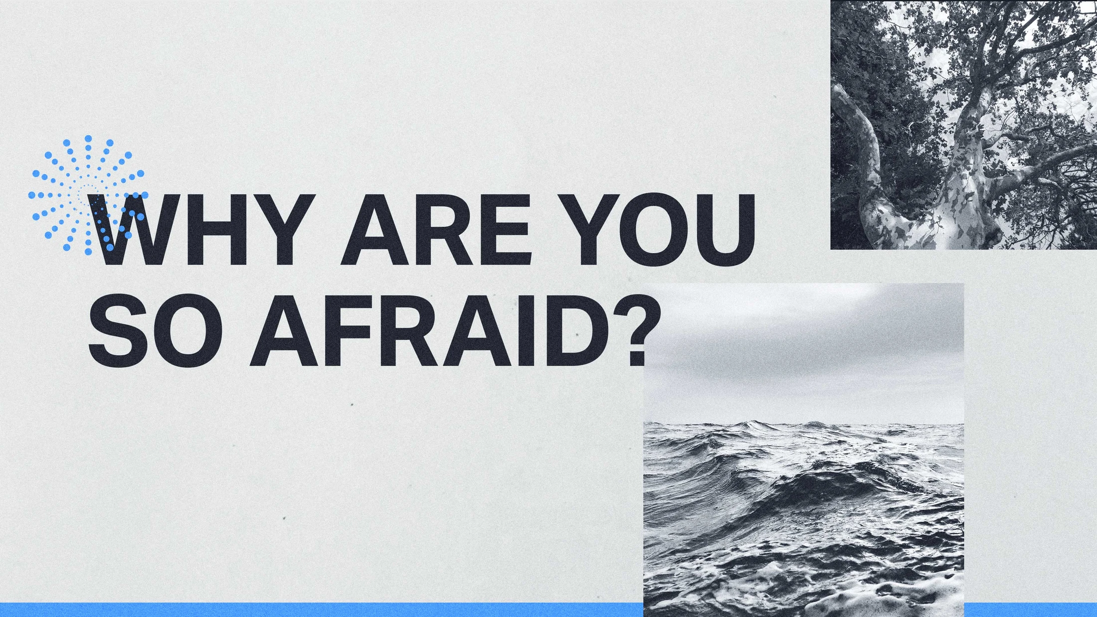 Why Are You So Afraid?