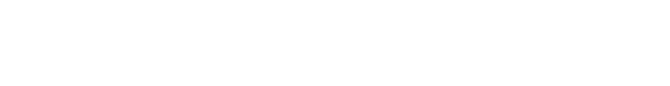 Main Logo