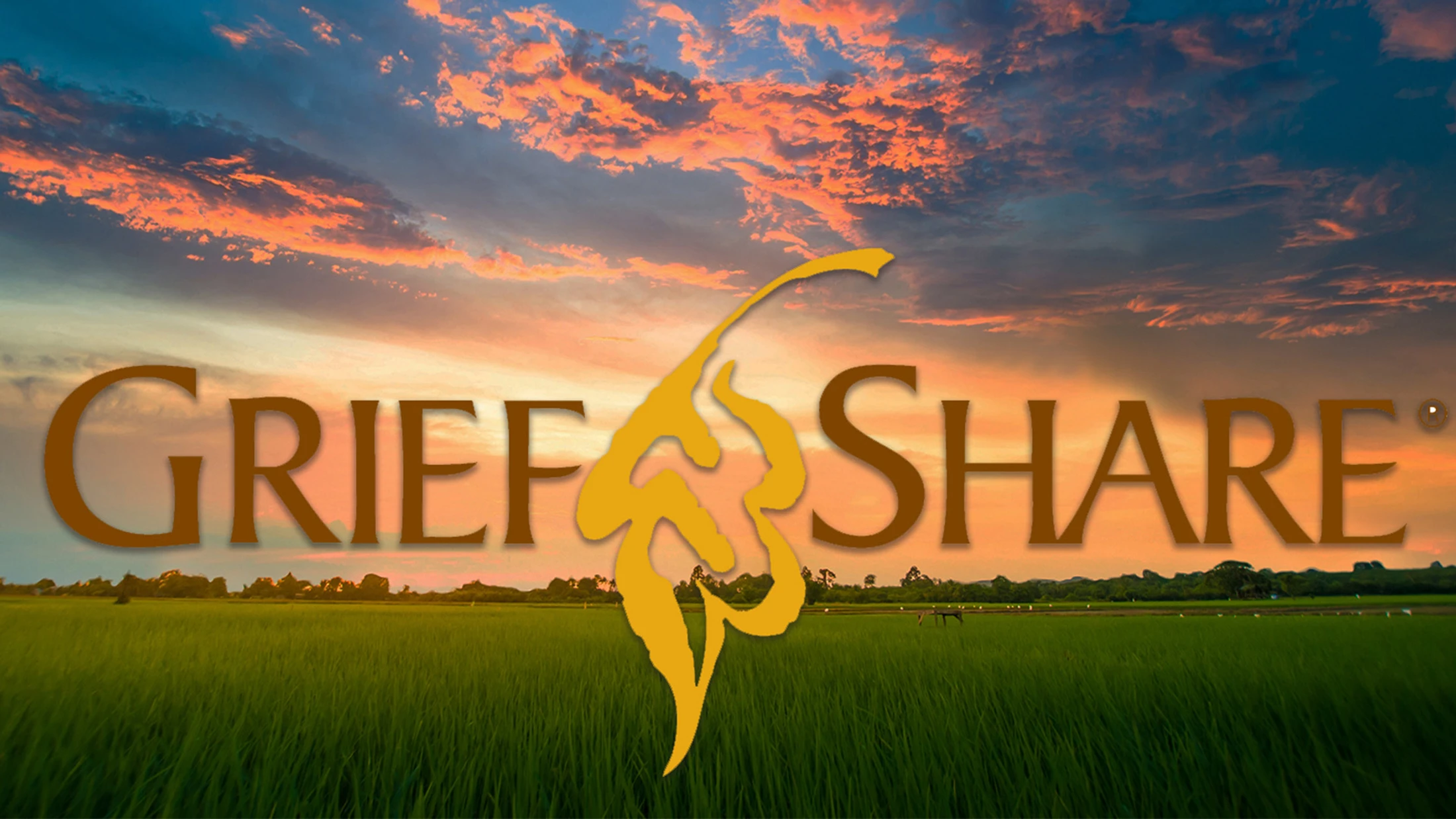 The GriefShare logo is centered over a serene landscape of a green field under a dramatic sunset sky with orange and blue clouds.