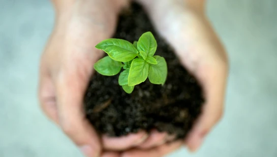 Gifts Grow Through Use