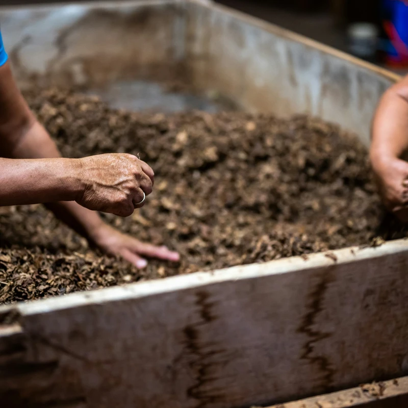 WHY <span style="font-weight: normal;">COMPOST</span>