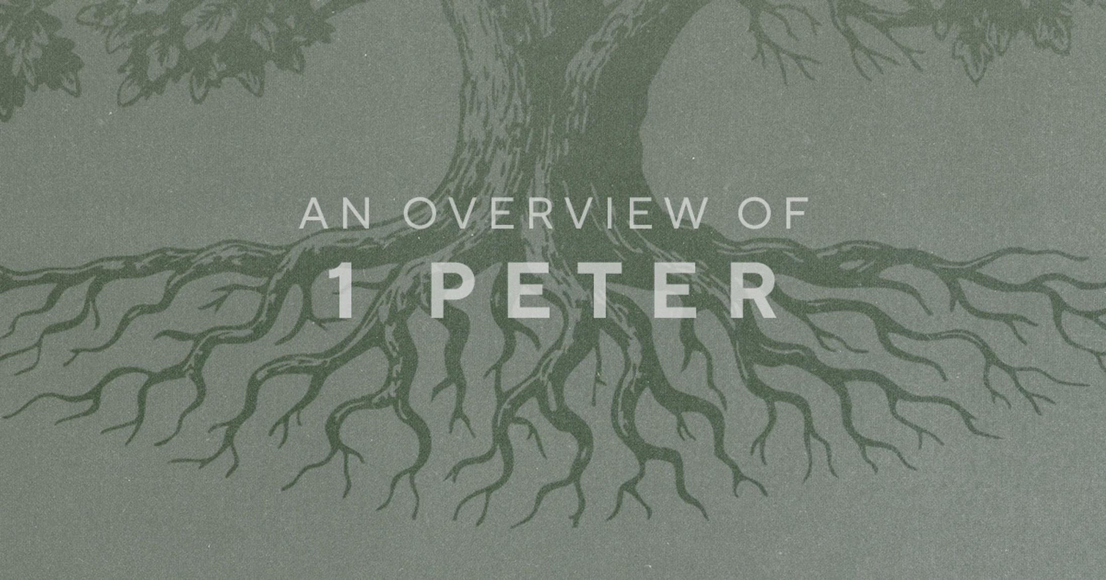 Graphic with text reading An Overview of 1 Peter and tree roots growing