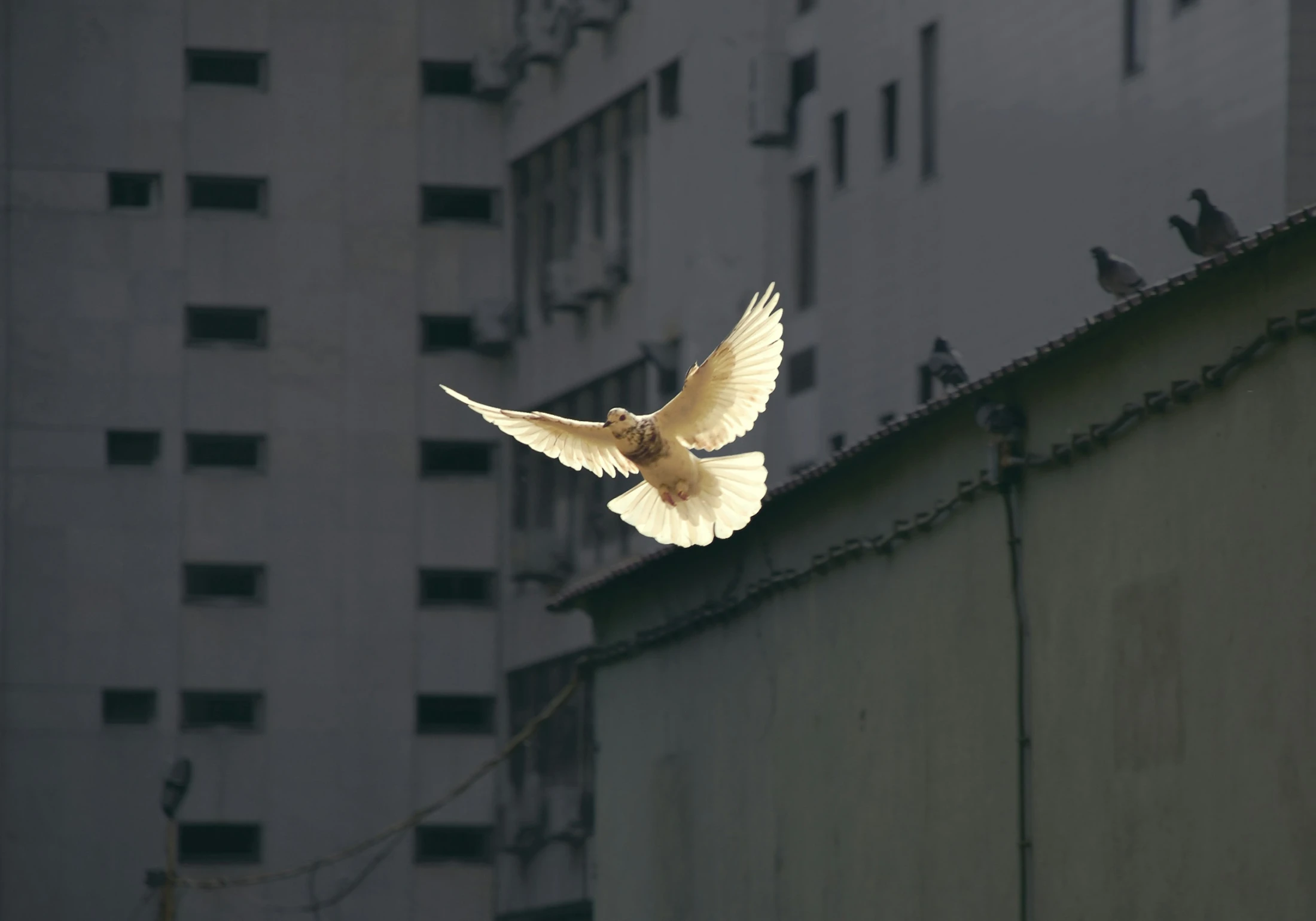 Living by the spirit, not by the soul