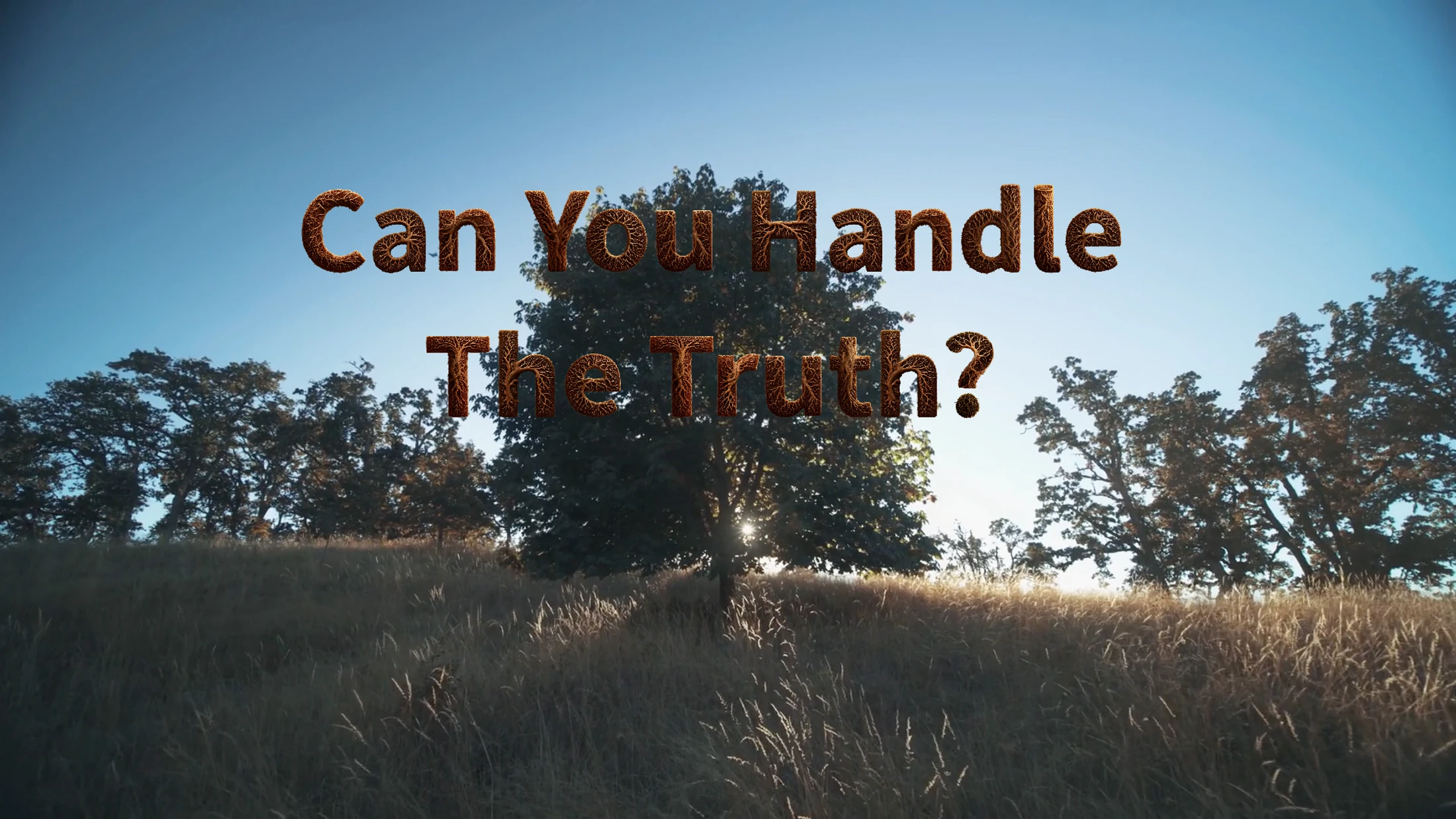 Can You Handle the Truth?