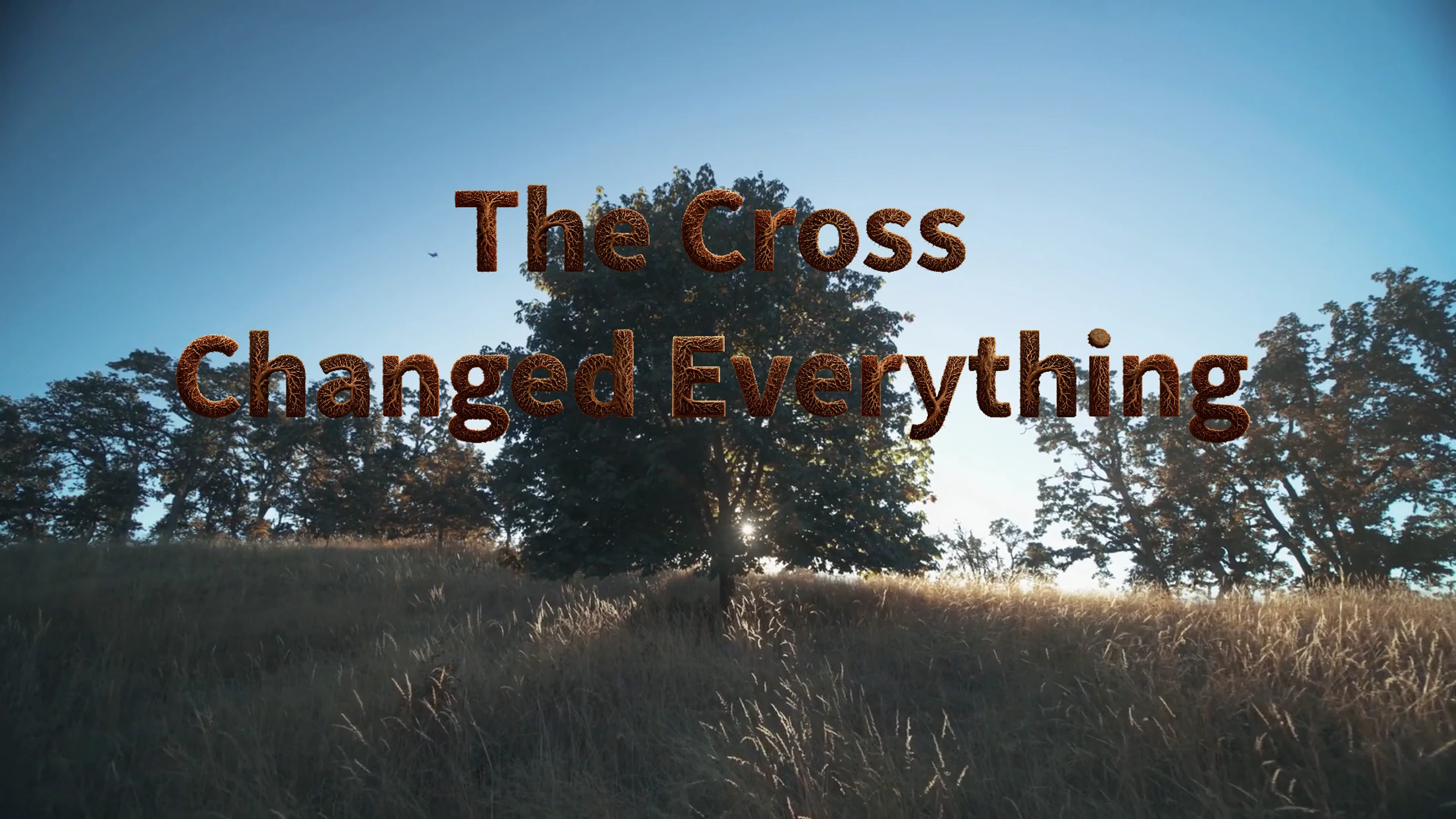 The Cross Changed Everything