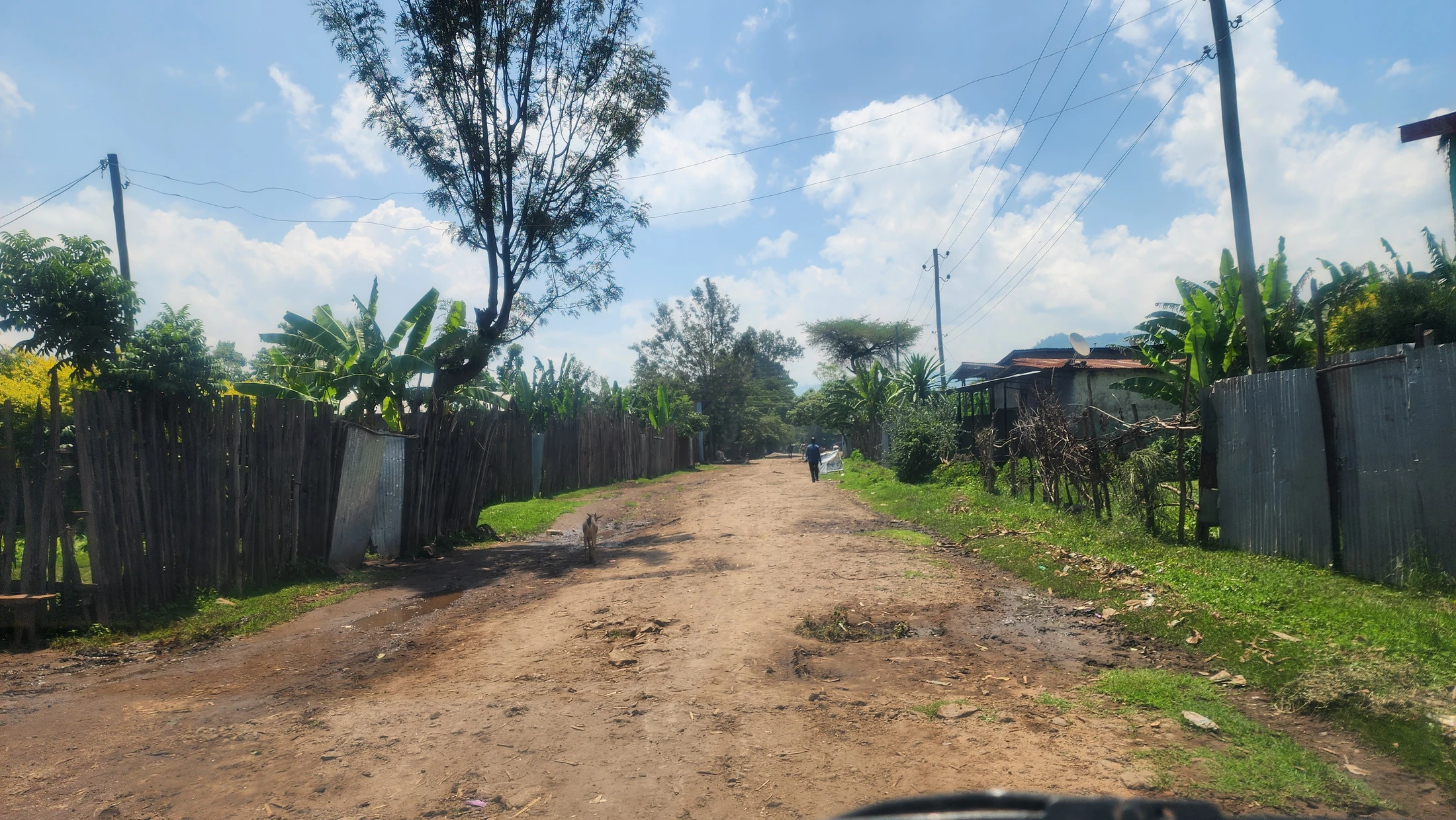 A view down a muddy dirt road in a rural village, lined with wooden fences, banana trees, and simple houses under a partly cloudy blue sky.